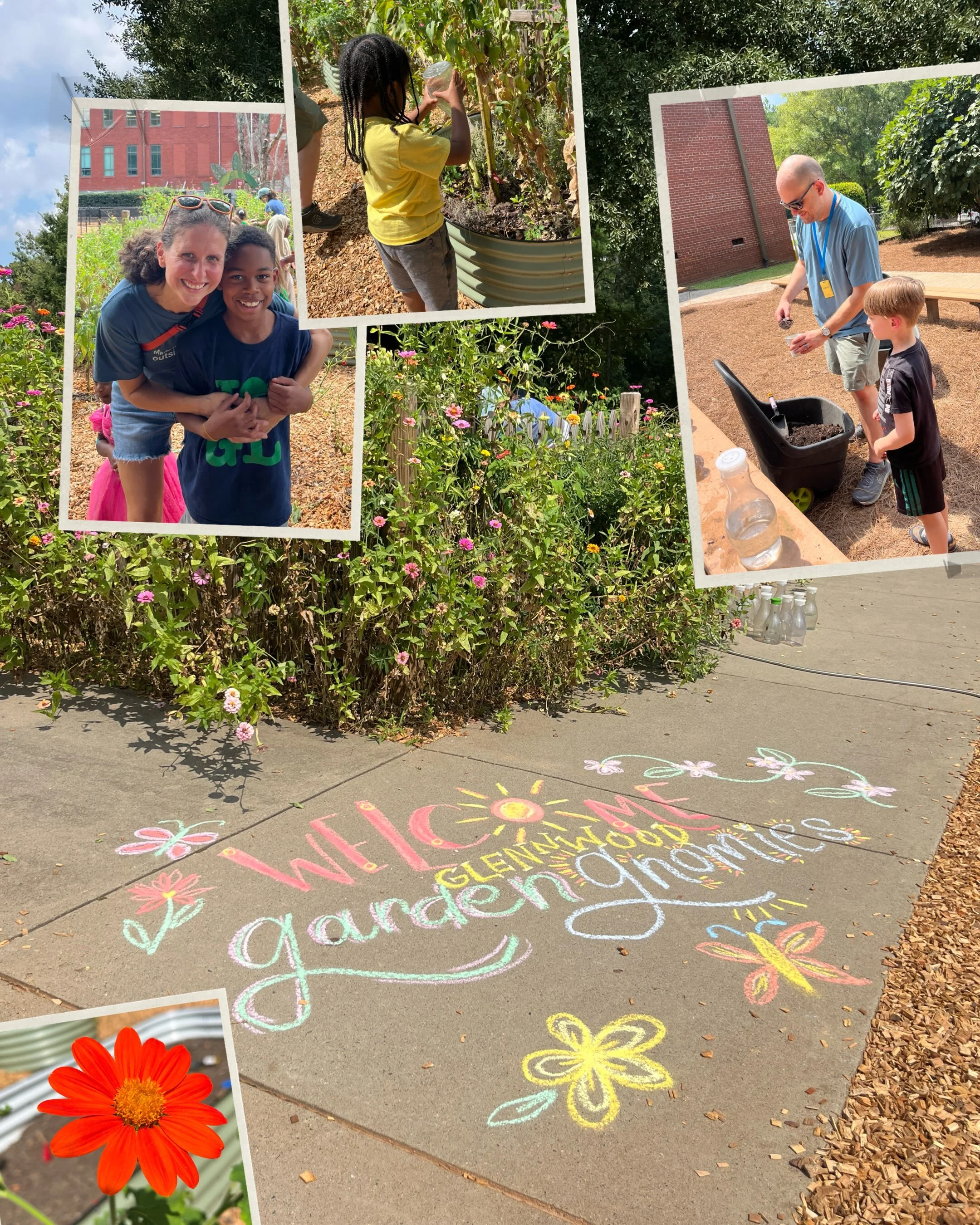 🌱The Glennwood Garden Gnomies are back!🌻

What a fun first Garden Gnomies of the school year! Our students spent recess getting their hands dirty, exploring the garden, watering plants, pulling weeds, picking flowers, planting seeds, and enjoying s