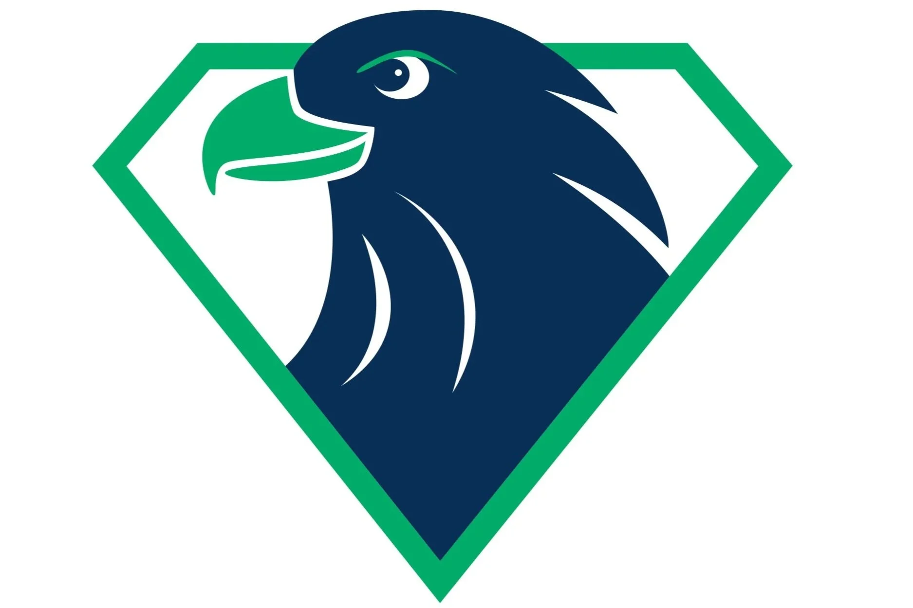 Individual Membership