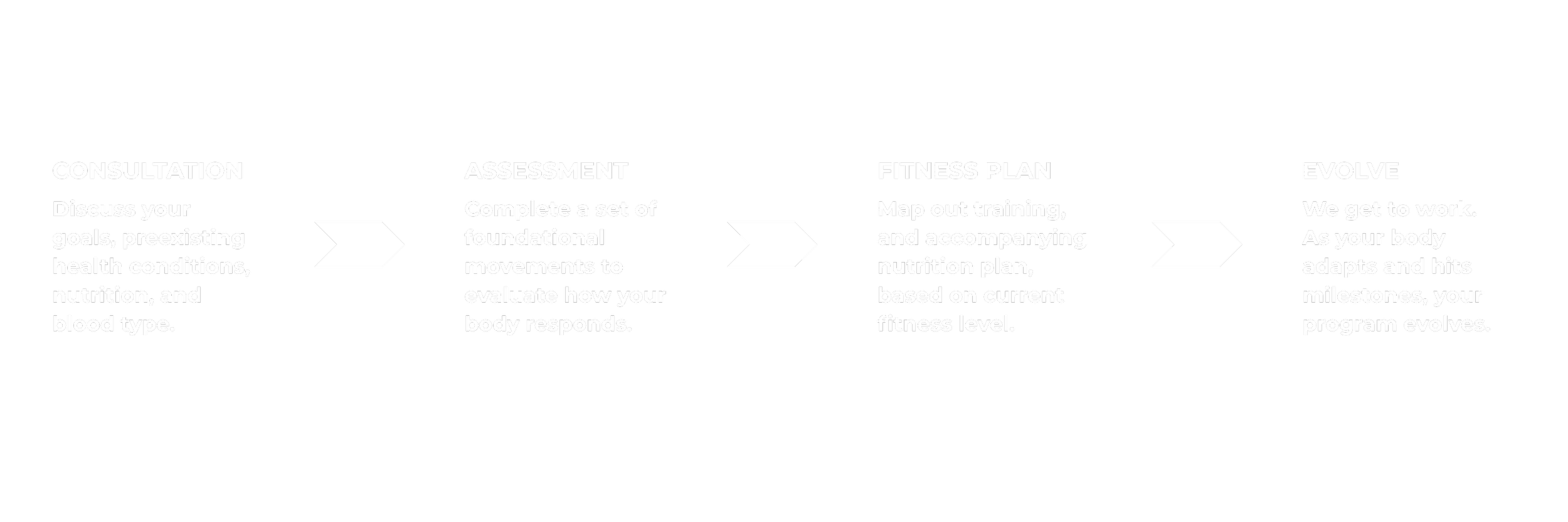 Flowchart illustrating a fitness program process with four stages: Consultation, Assessment, Fitness Plan, and Evolve, each with descriptive text.