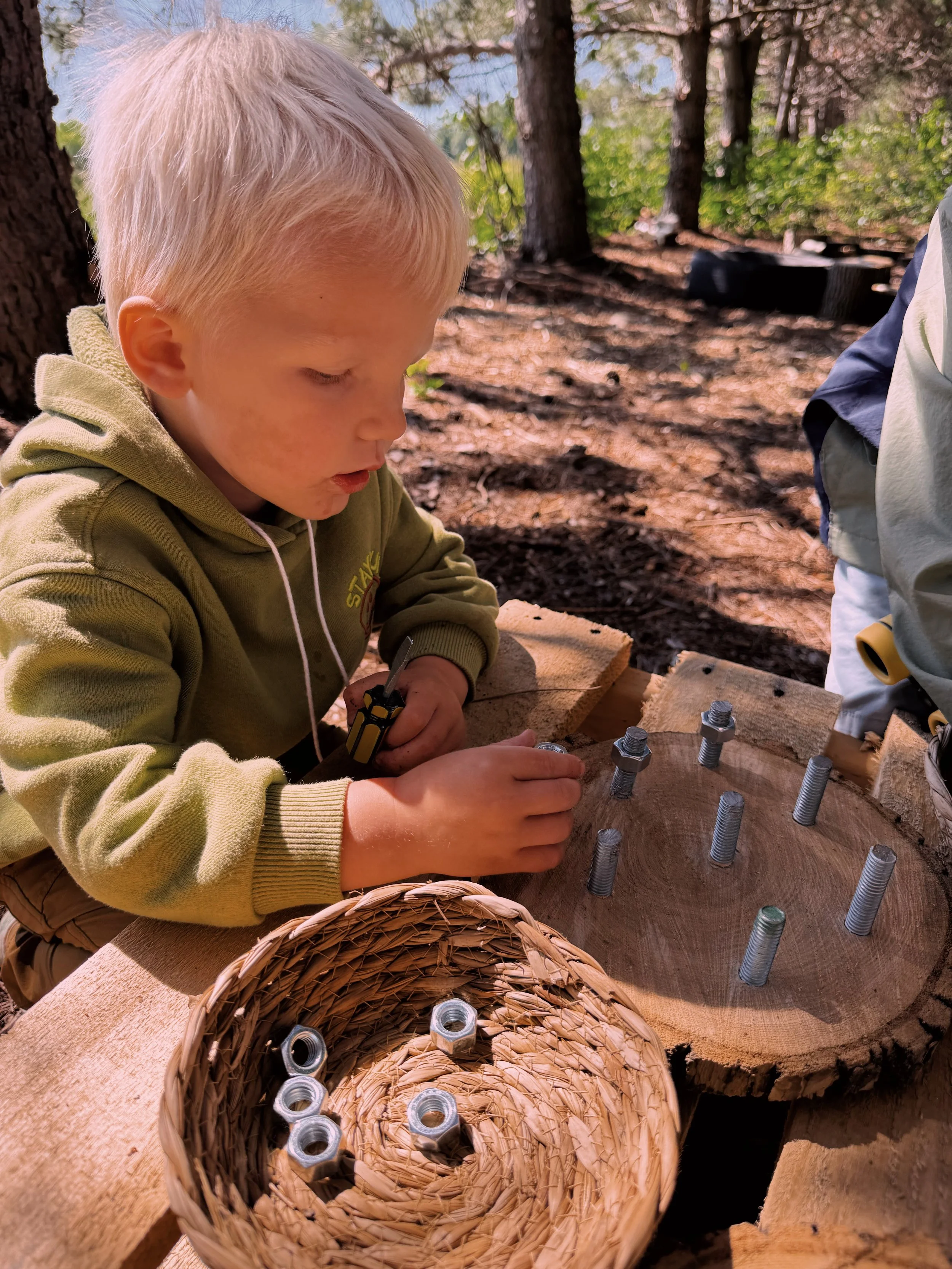 Fall Preschool Enrollment