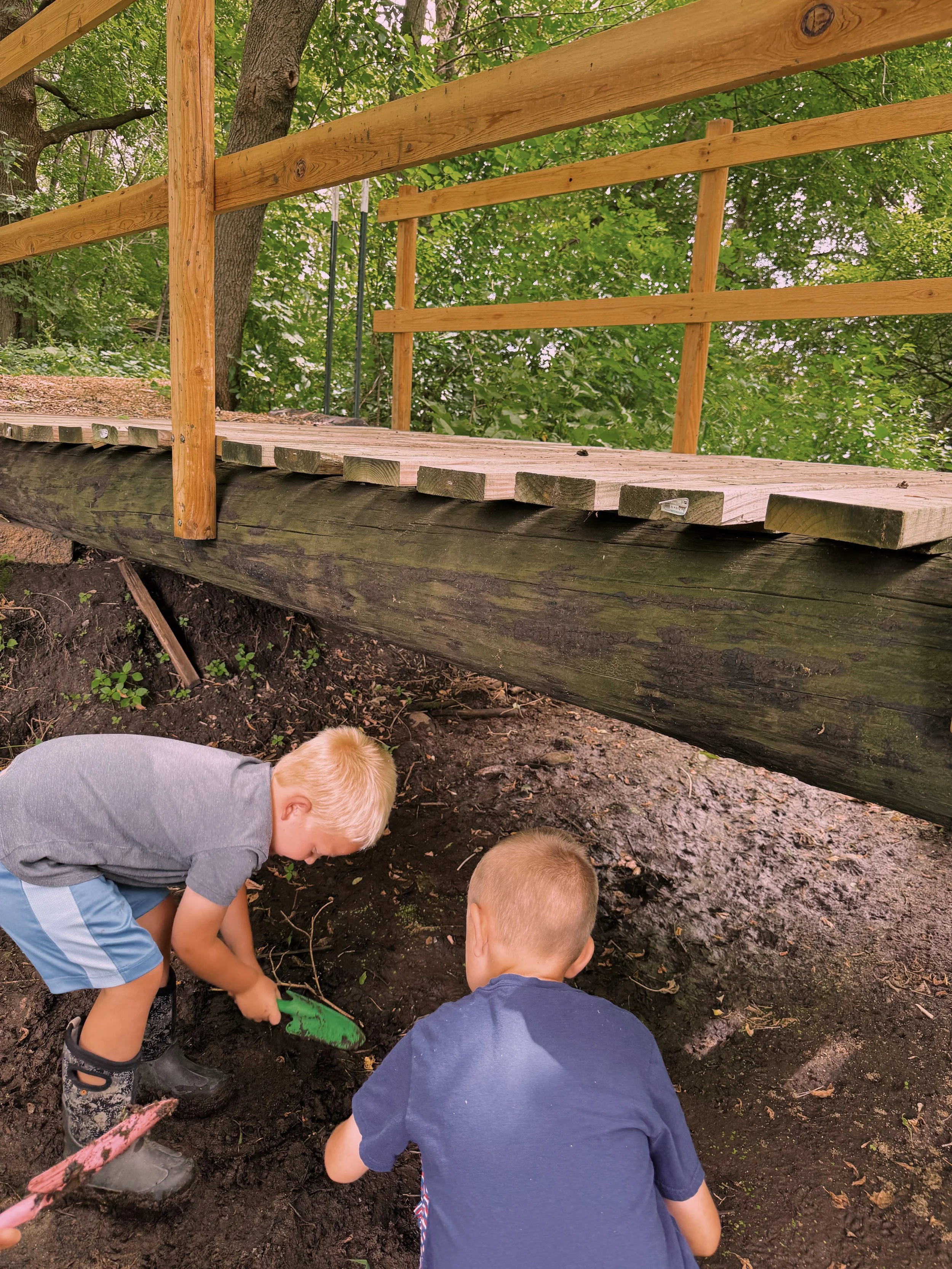 Little Seedlings Preschool - The Wise Builder