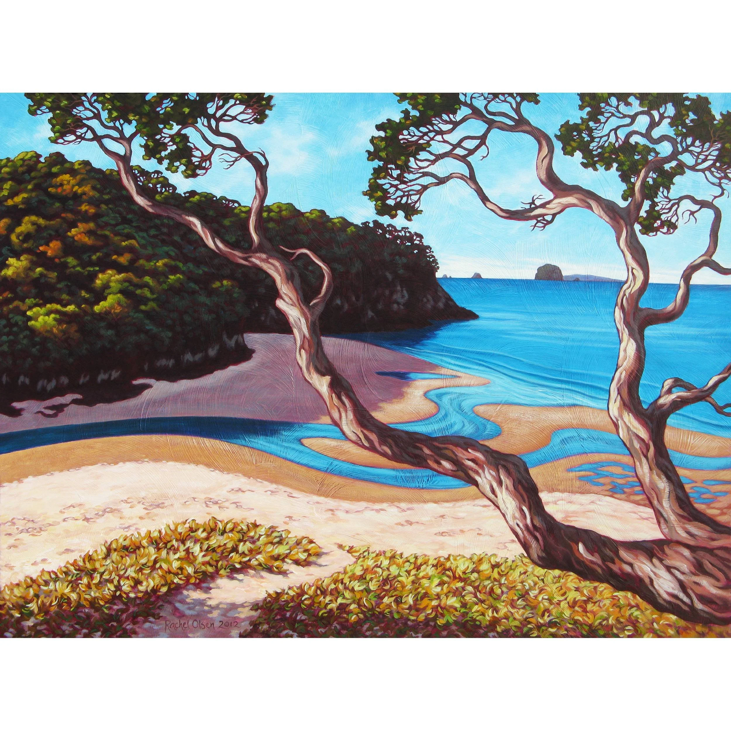 Cooks-Beach-Estuary-print-store.jpg