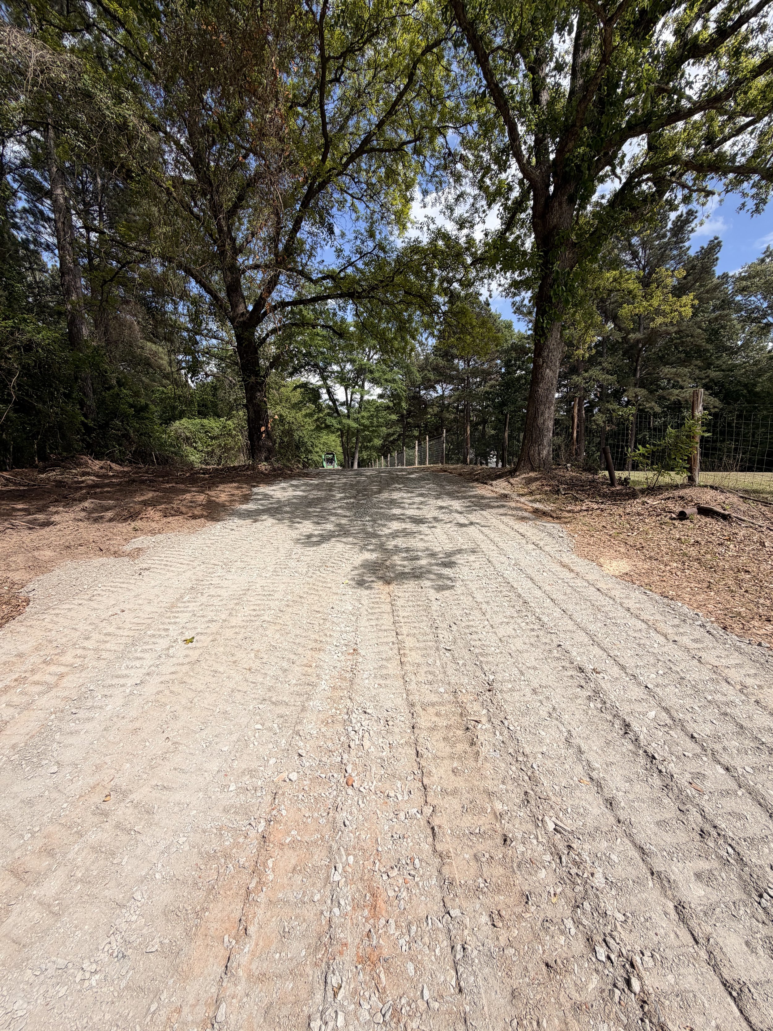 A dirt path surrounded by tall trees with green leaves, fencing on the right side, and a small structure in the distance under a partly cloudy sky.