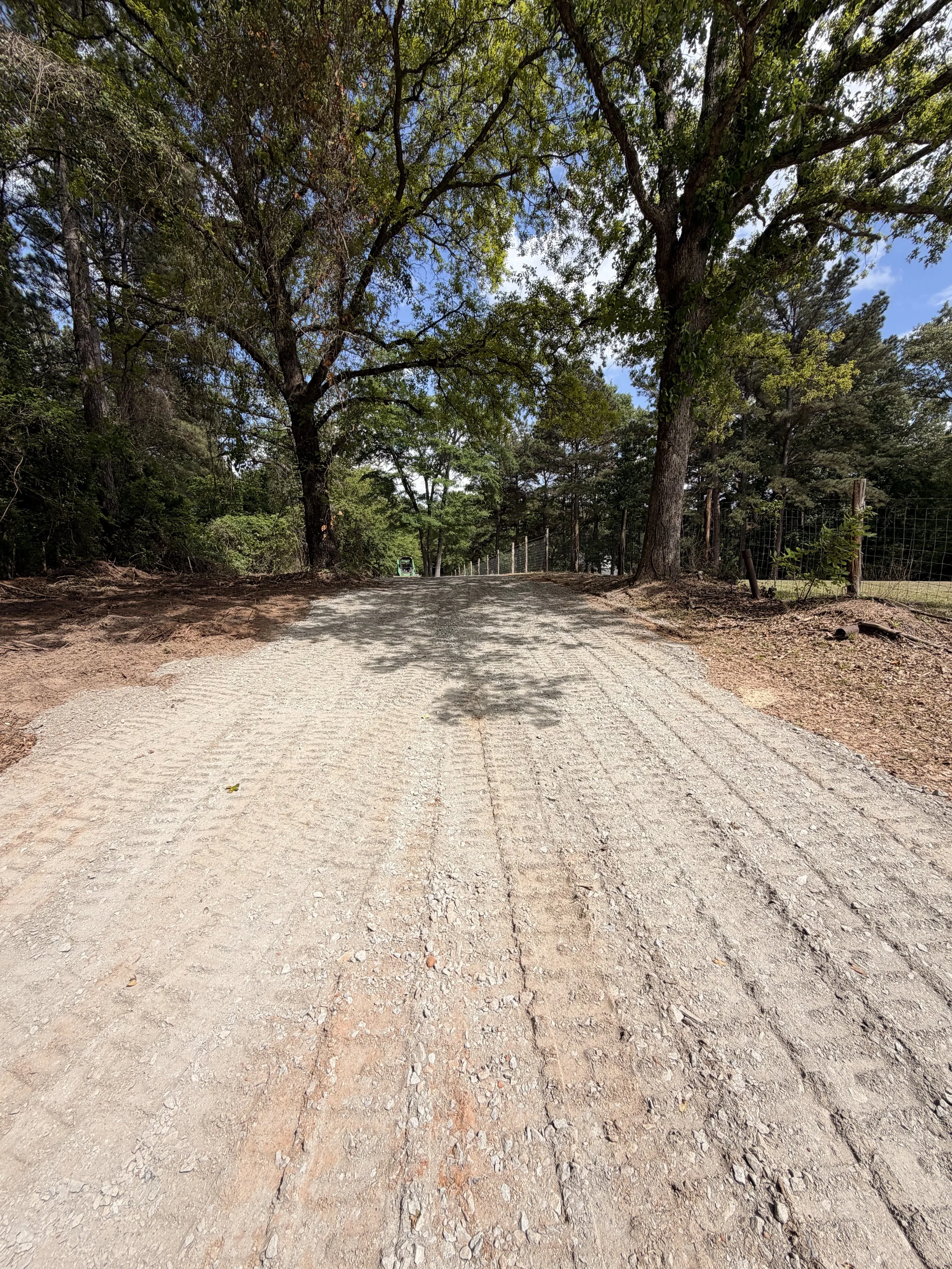 A dirt pathway surrounded by greenery and trees with a blue sky overhead.