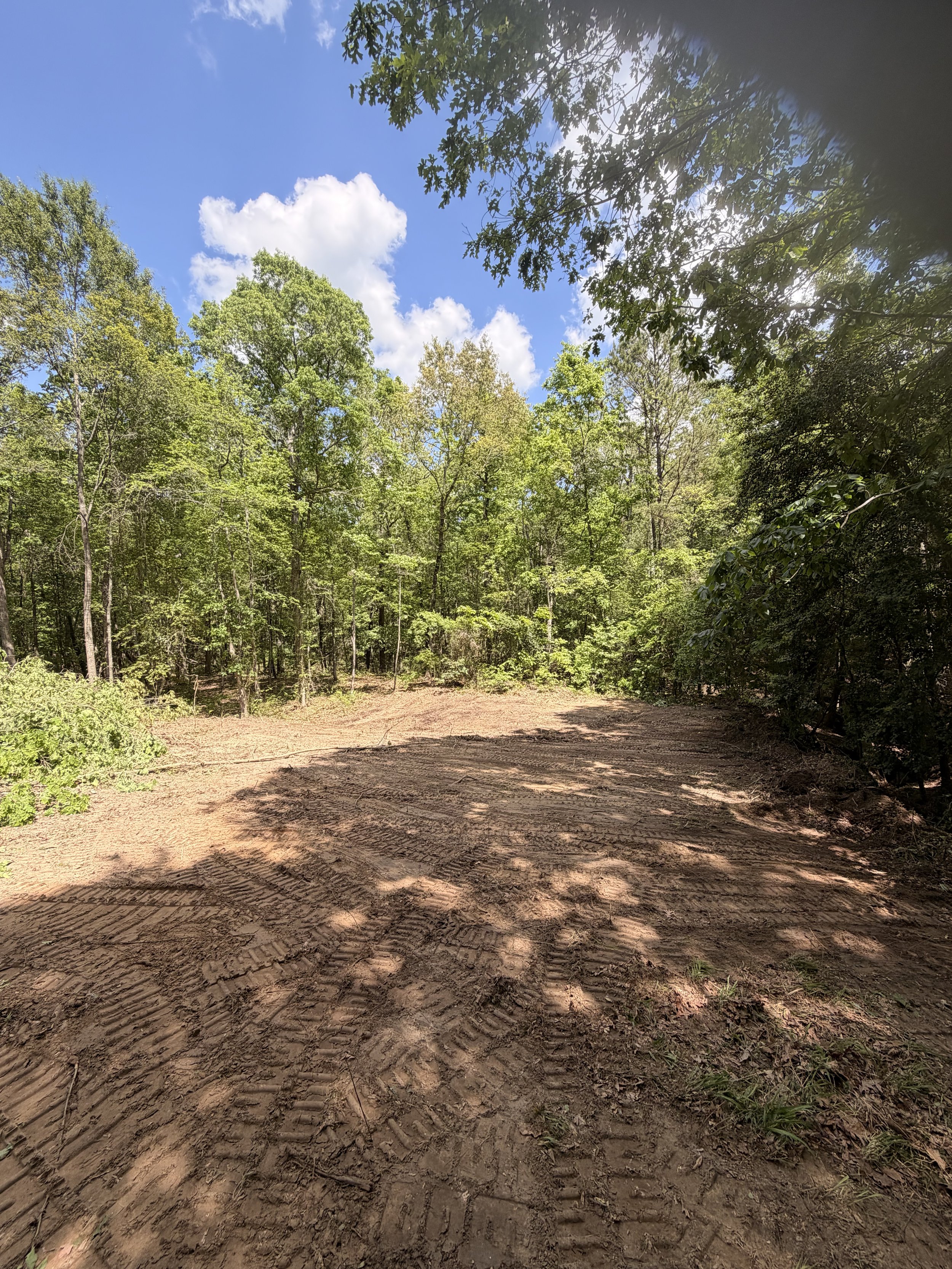 A dirt path with tire tracks through a lush green forest, with sunlight filtering through the trees and a bright blue sky with white clouds above.