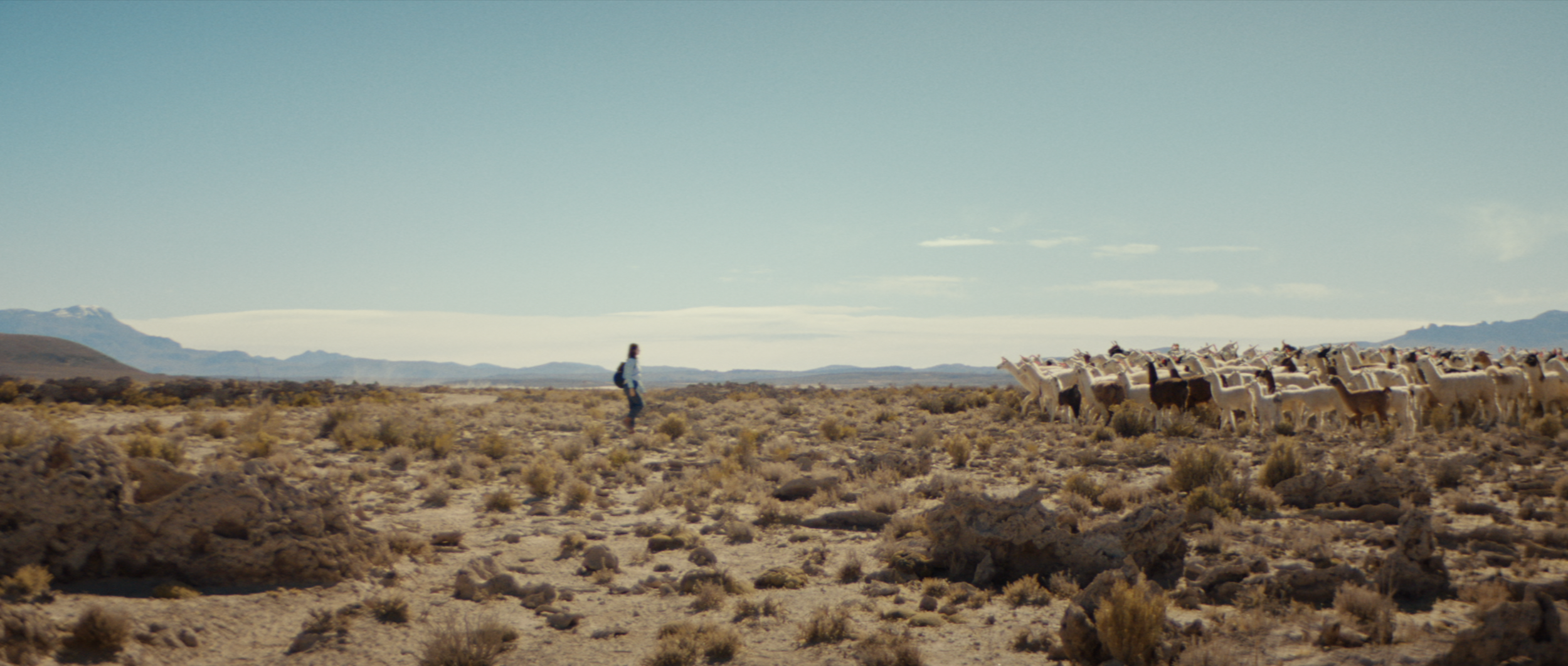 VISA 'The Ends Of The Earth'