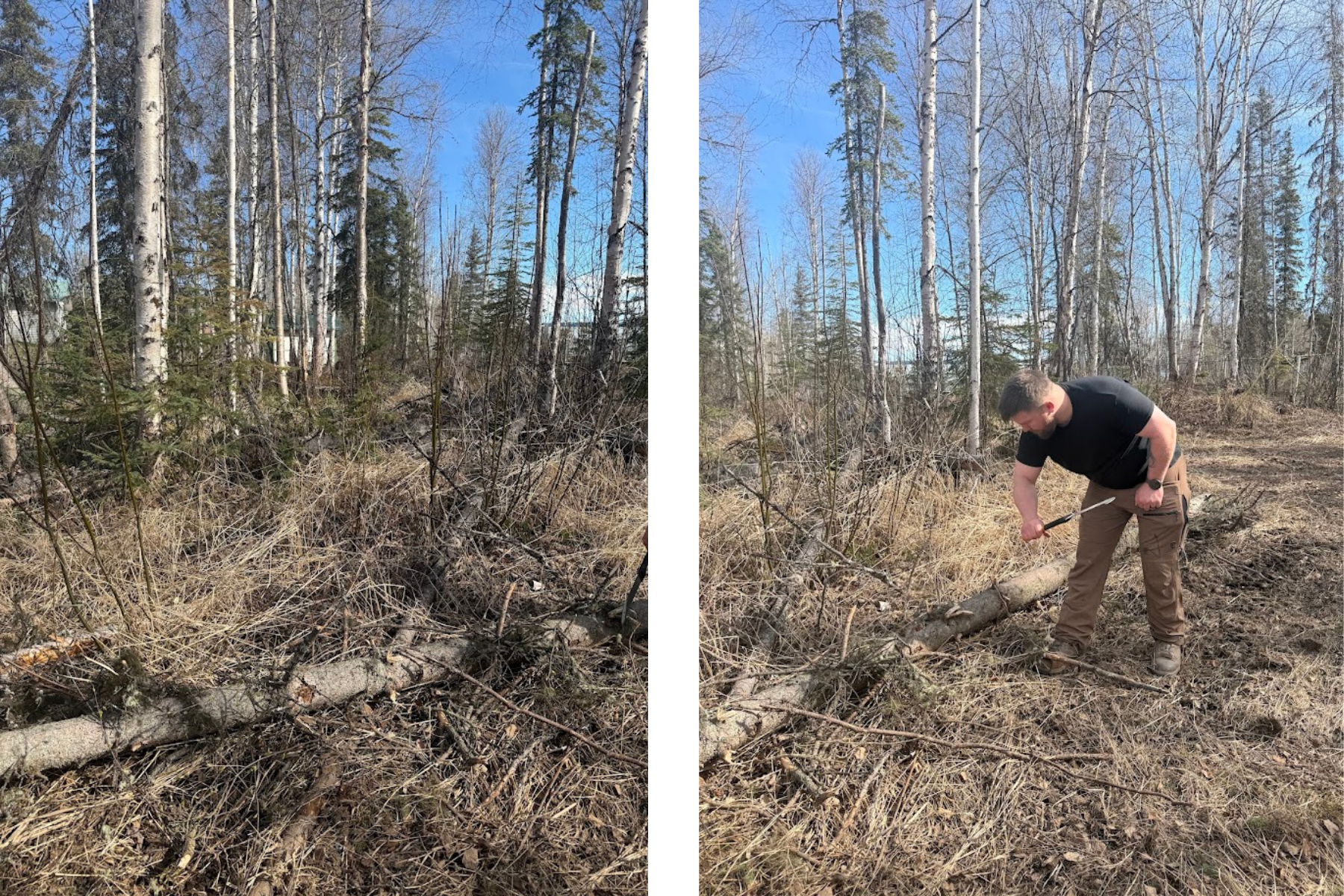 Trimming and removing dead vegetation around a home for fire mitigation and management.