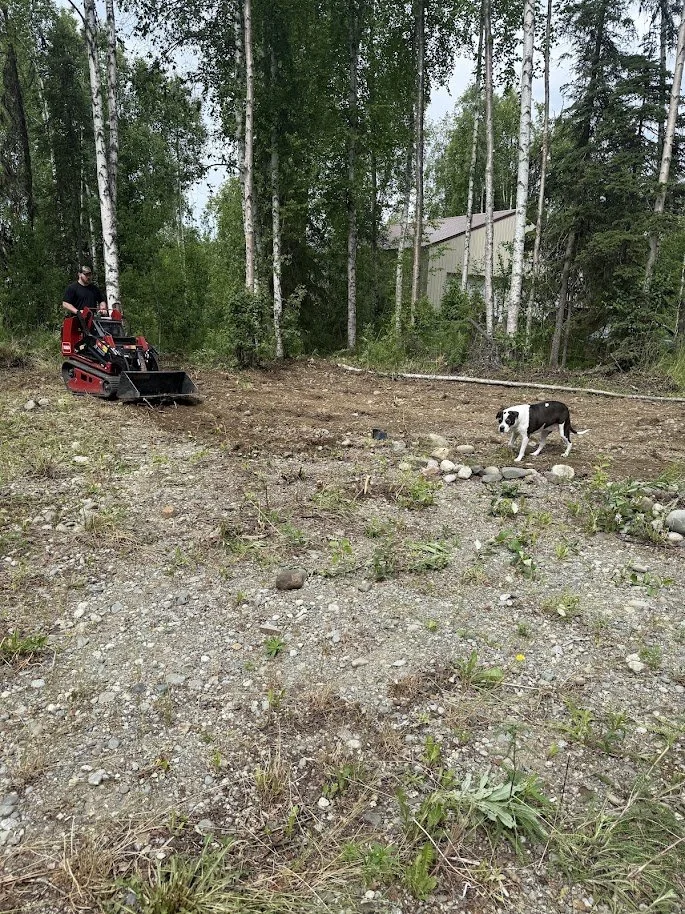 Compact equipment clearing and grading a wooded property.