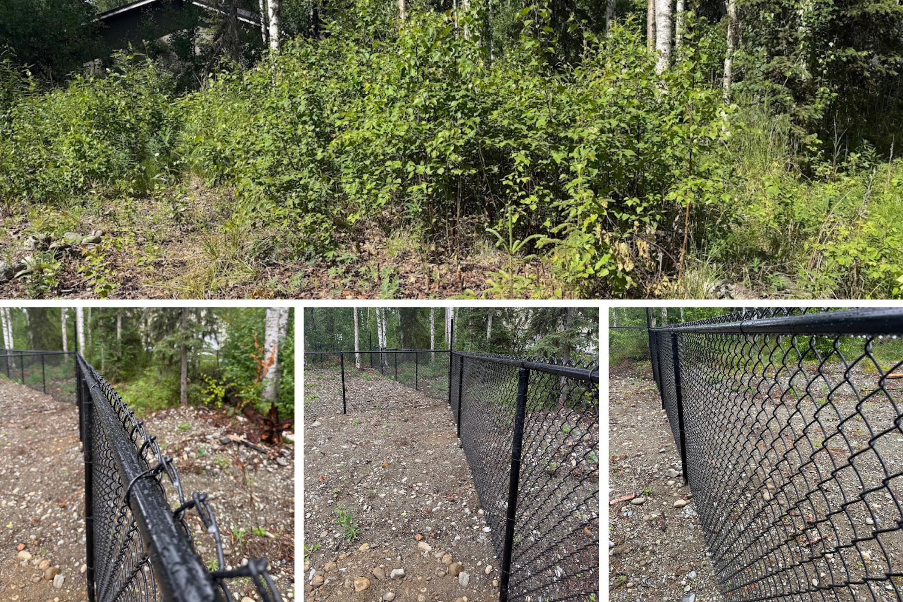Before and after view of cleared and leveled area along a chain-link fence after brush and vegetation removal.