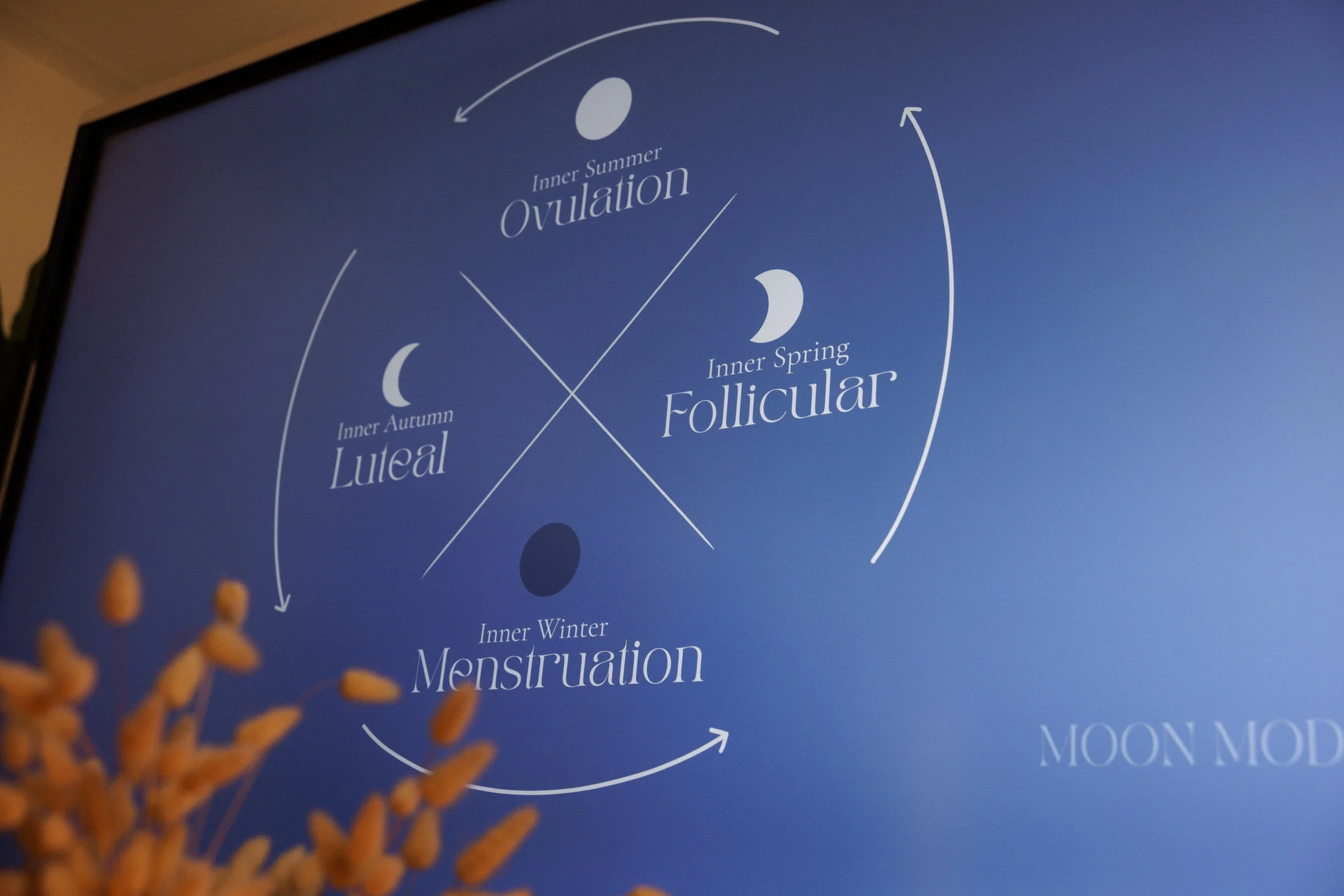 BriHammond-MoonMode-9349-Lowres.jpg