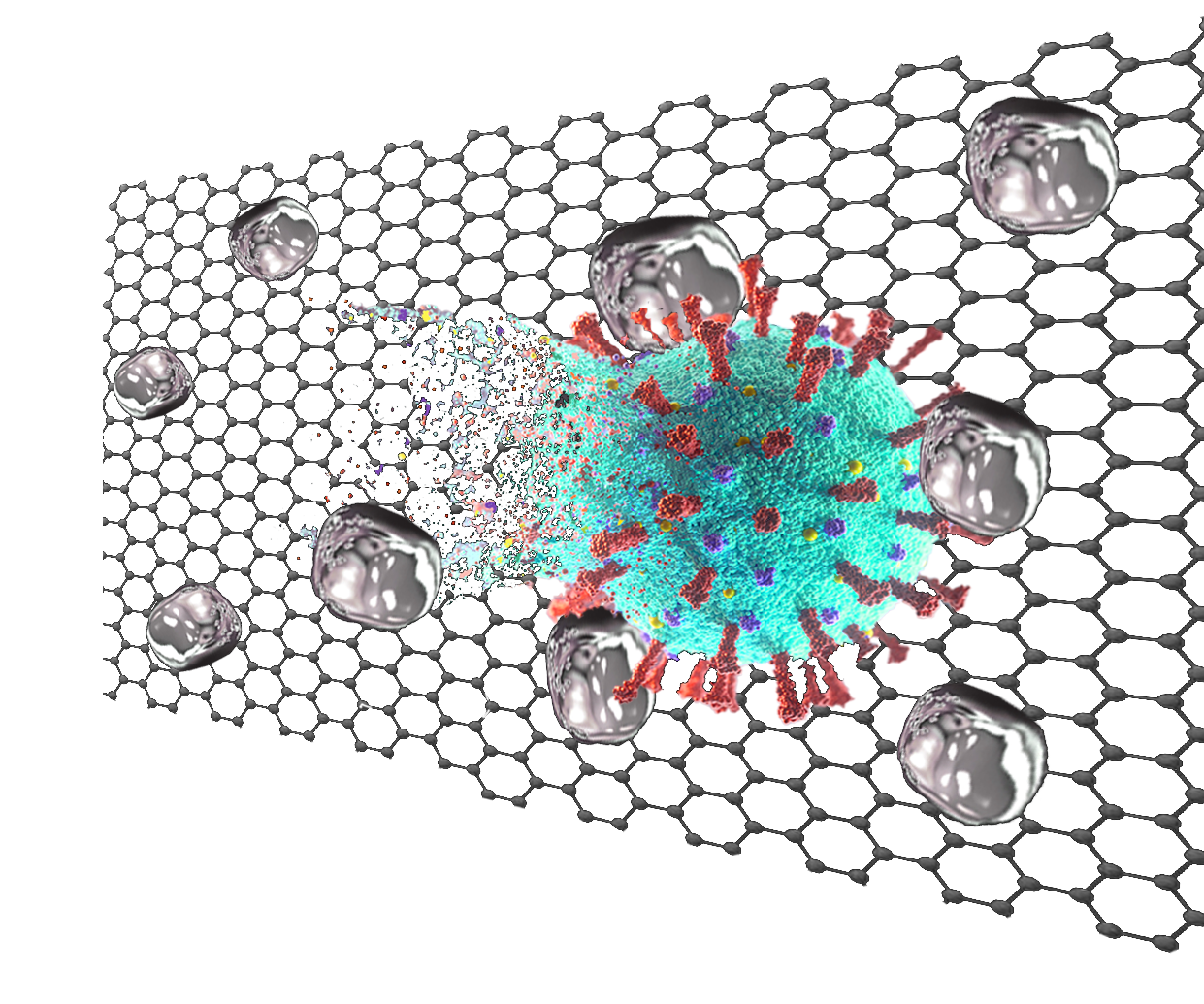 A digital artwork of a virus particle with red spike proteins on its surface, surrounded by gray nanosilver molecules, set against a hexagonal structure representing graphene oxide.