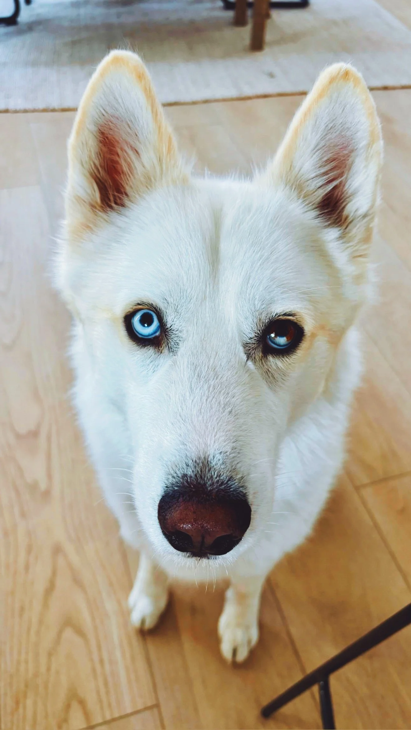 BDB44DB7-59A1-4D0E-B3E5-9AA461C542E7_VSCO.JPG
