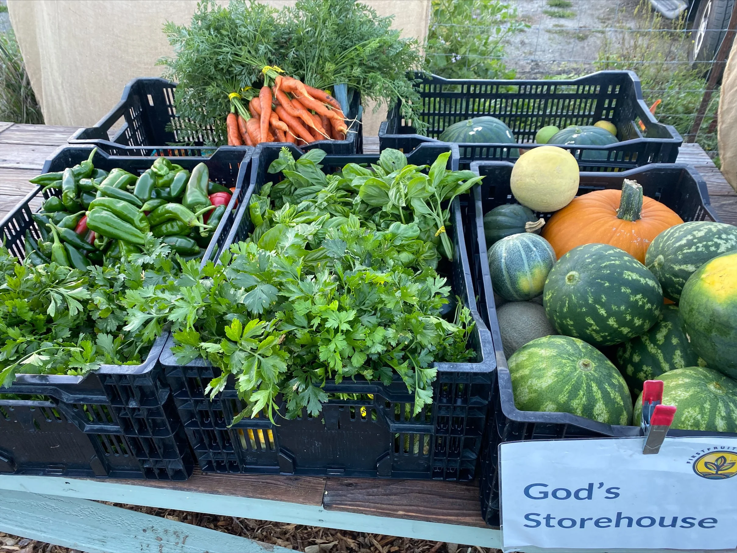 A display of fresh vegetables including carrots, peppers, spinach, melons, and pumpkins in black plastic crates at a store or market.