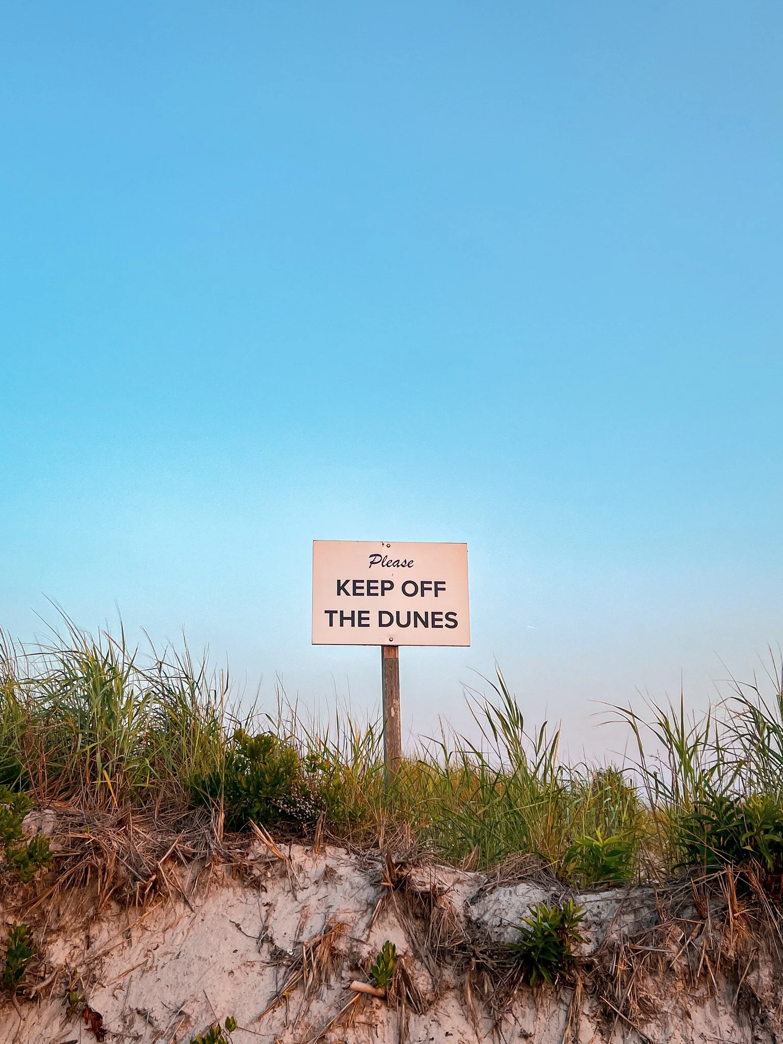 A sign on a sandy dune area that reads 'Please Keep Off the Dunes' with grass and sand in the foreground and a clear blue sky in the background.