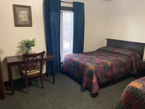 Hotel room with a bed, nightstand, desk with a chair, potted plant, and window with blue curtains.