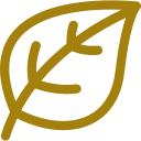 A simple line drawing of a leaf inside a circle, both outlined in gold.