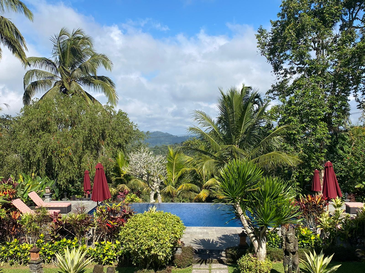Tropical garden with a pool, surrounded by lush green palm trees, bushes, and colorful plants, with red umbrellas and lounge chairs nearby.