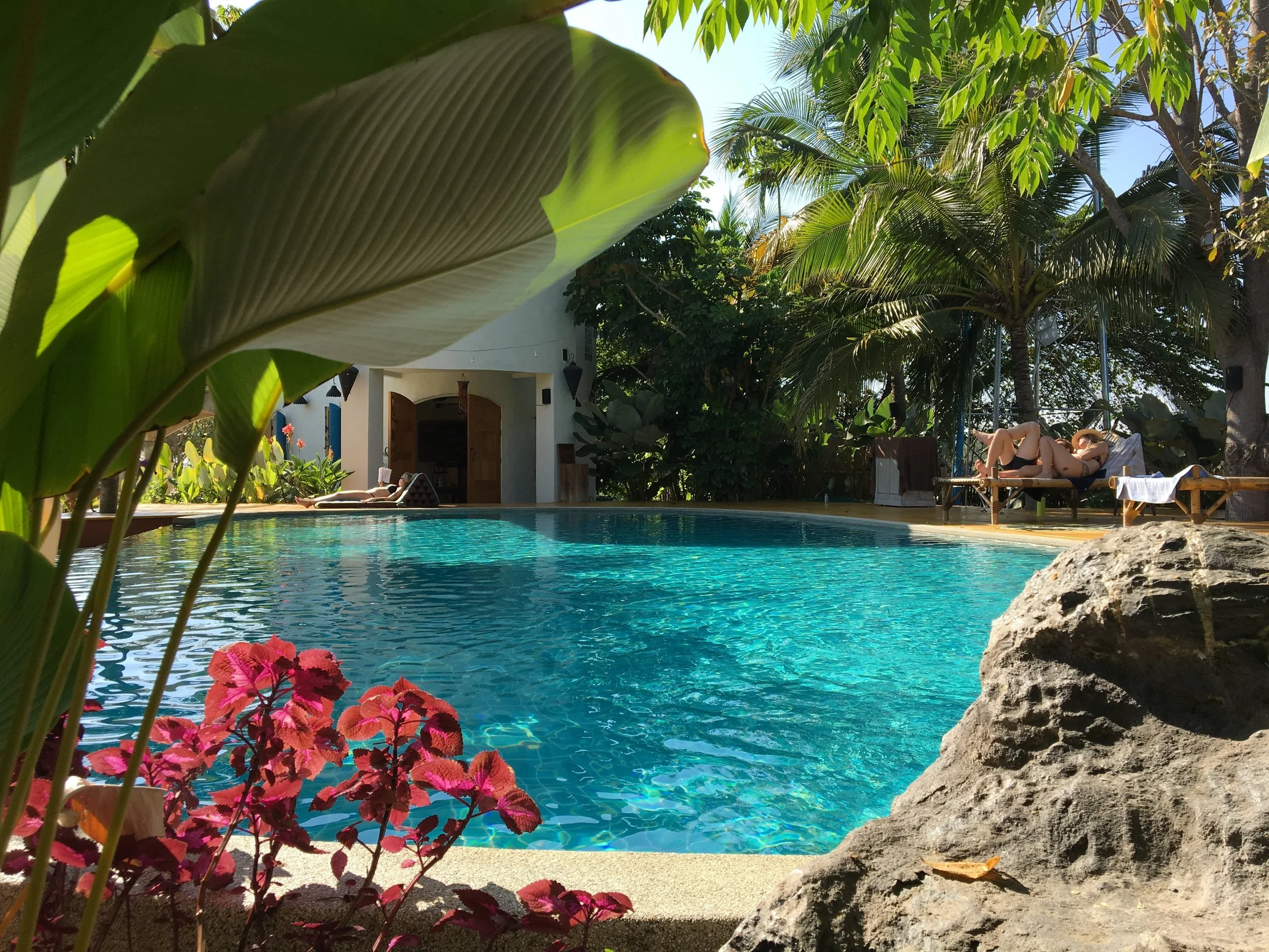 A swimming pool surrounded by green tropical plants and trees, with a white building in the background. People are relaxing on loungers by the pool, and vibrant pink flowers are in the foreground.