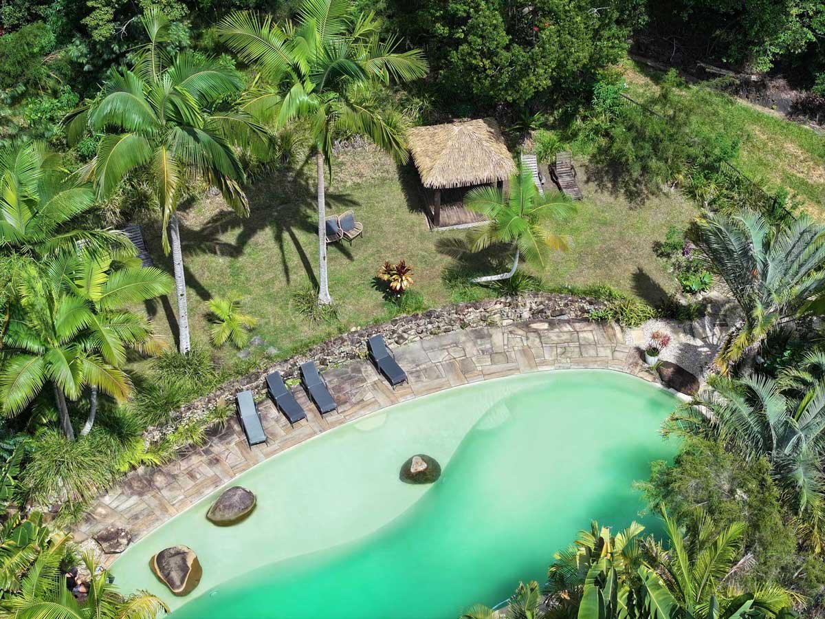 Aerial view of a tropical swimming pool area surrounded by lush green palm trees and vegetation, with a thatched-roof hut, lounge chairs, and large rocks in the pool.