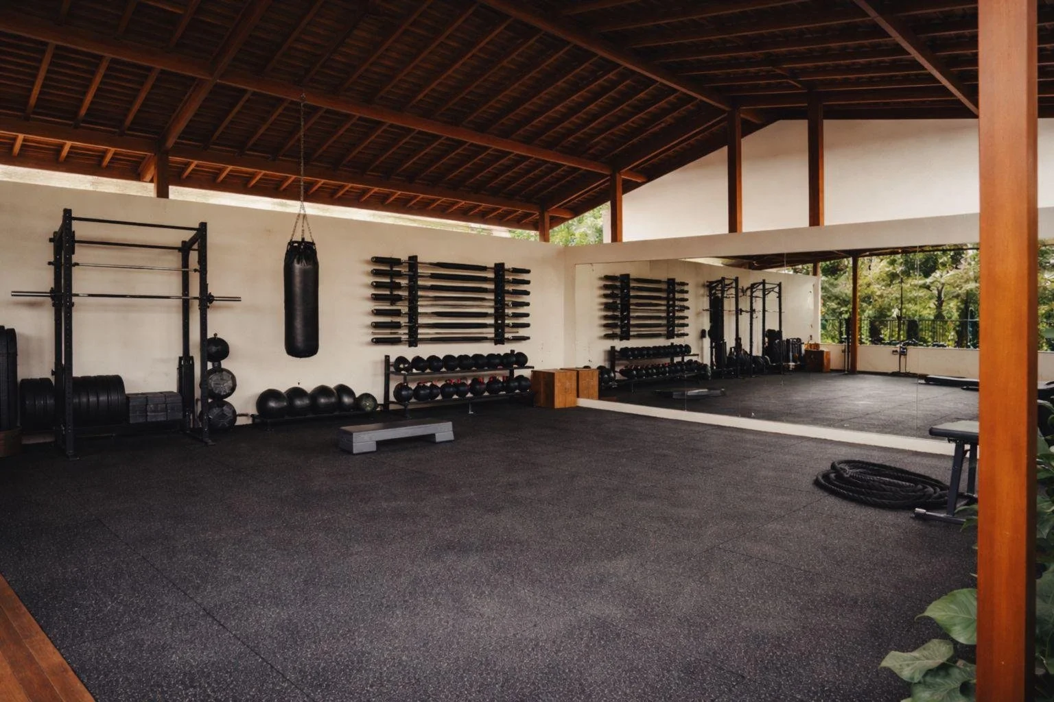 Empty fitness studio with black rubber flooring, weight racks, medicine balls, punching bag, and large mirror, with a view of greenery outside.