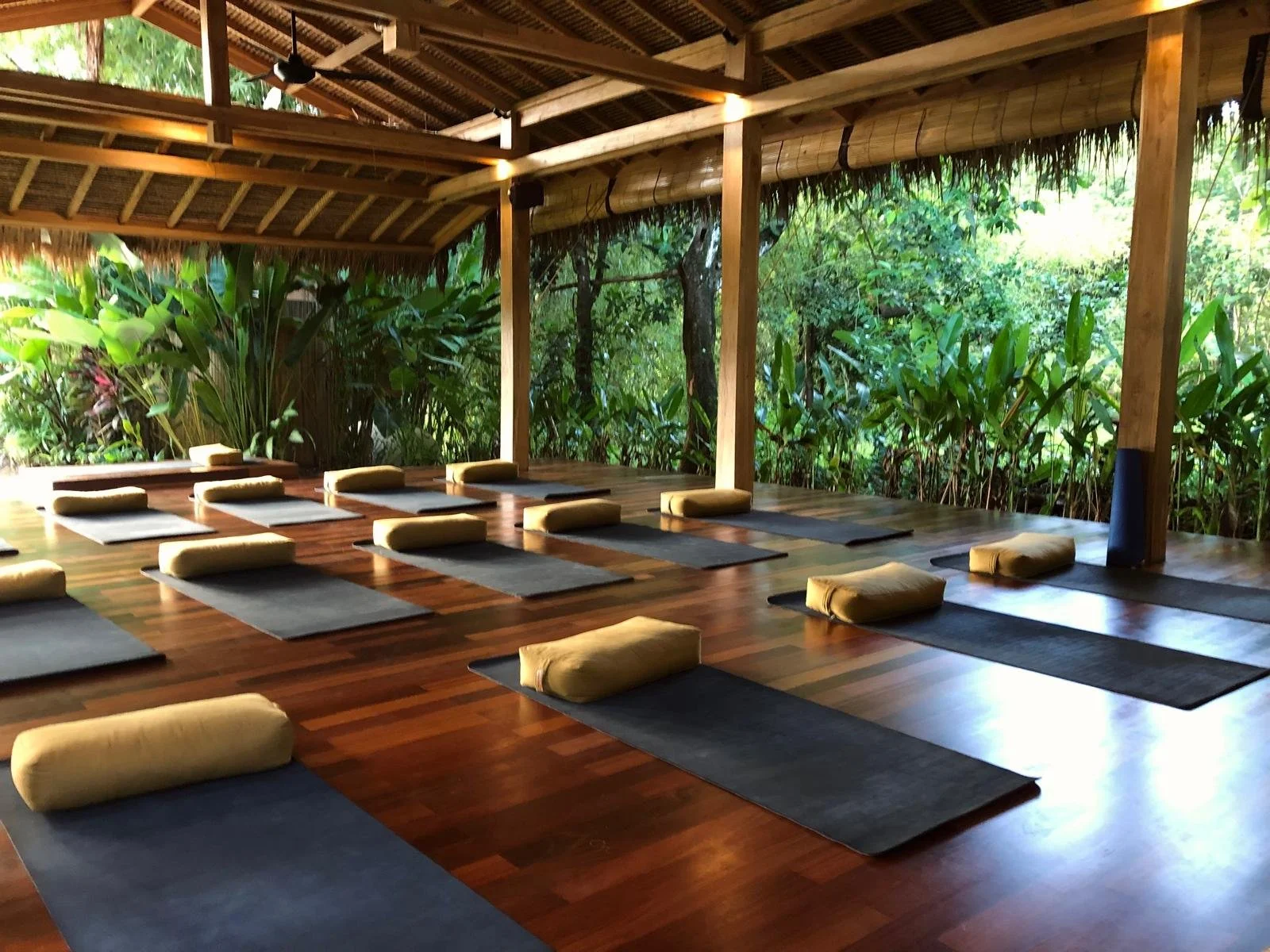 A yoga studio with wooden floors and an open wall facing a lush green forest. Yoga mats with rolled-up towels are arranged on the floor for a class.