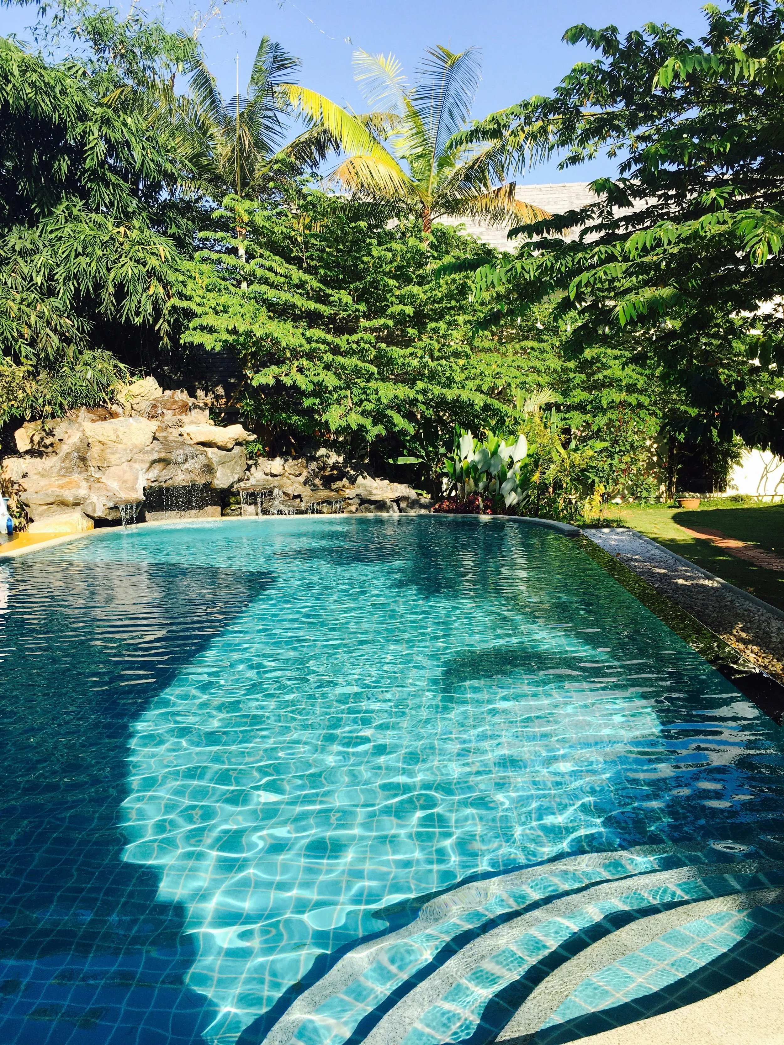 A swimming pool surrounded by greenery, including palm trees and other lush plants, with a rocky waterfall feature and a clear blue sky overhead.