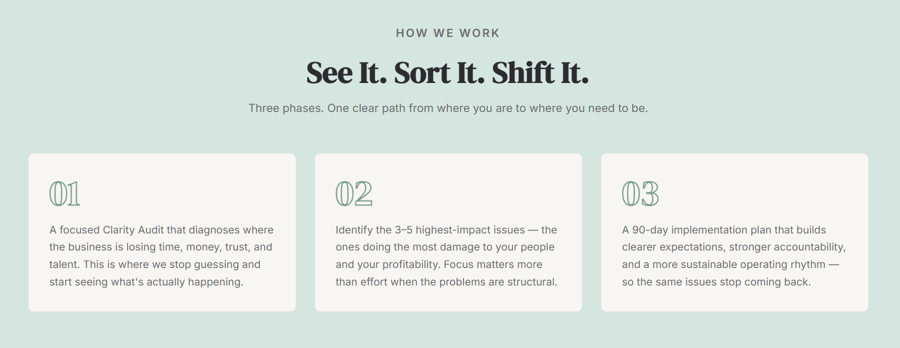 Infographic titled 'How We Work' with the tagline 'See It. Sort It. Shift It.' and three numbered steps explaining a process on a light green background.