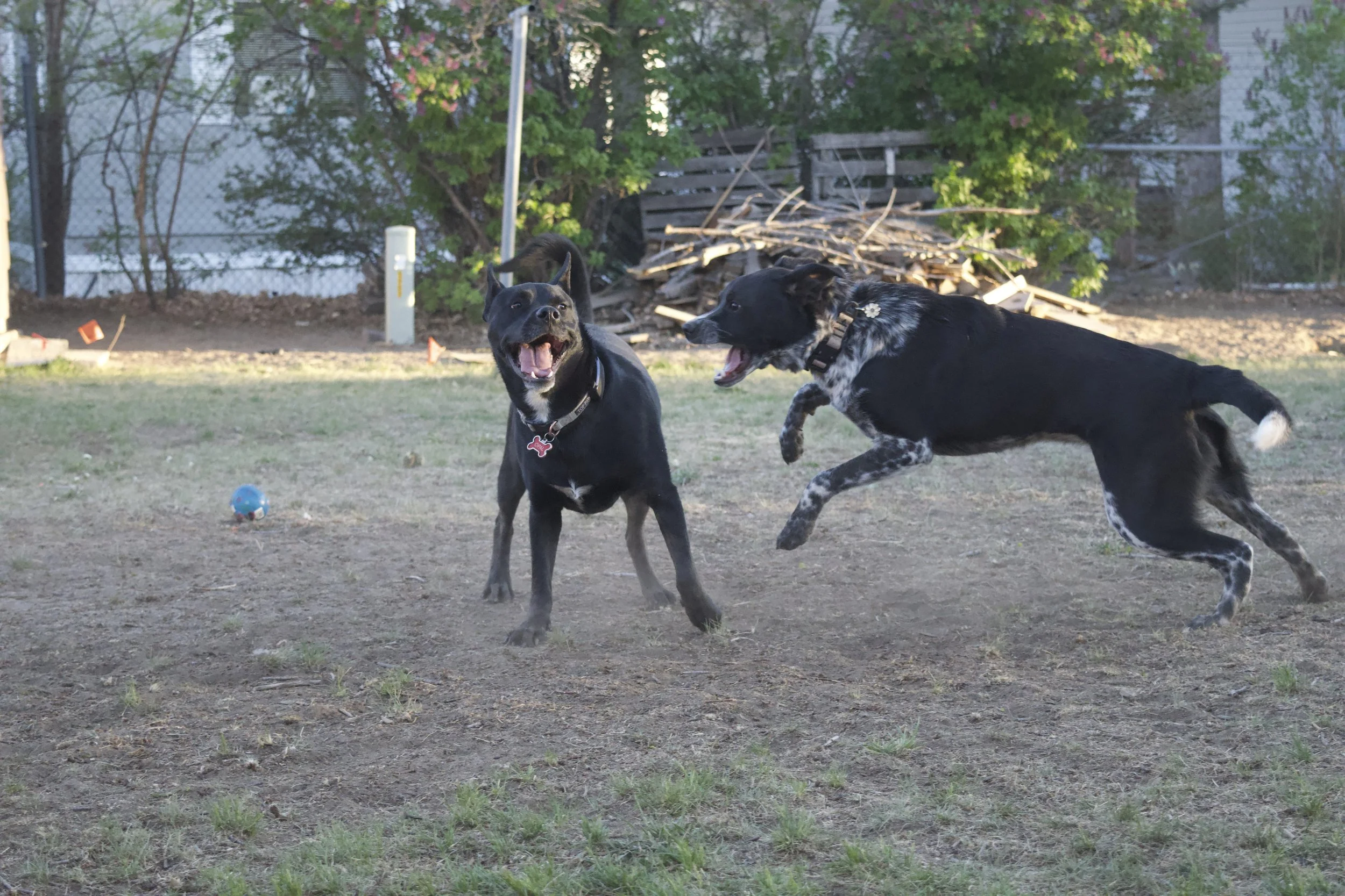 DSC_0356.jpeg