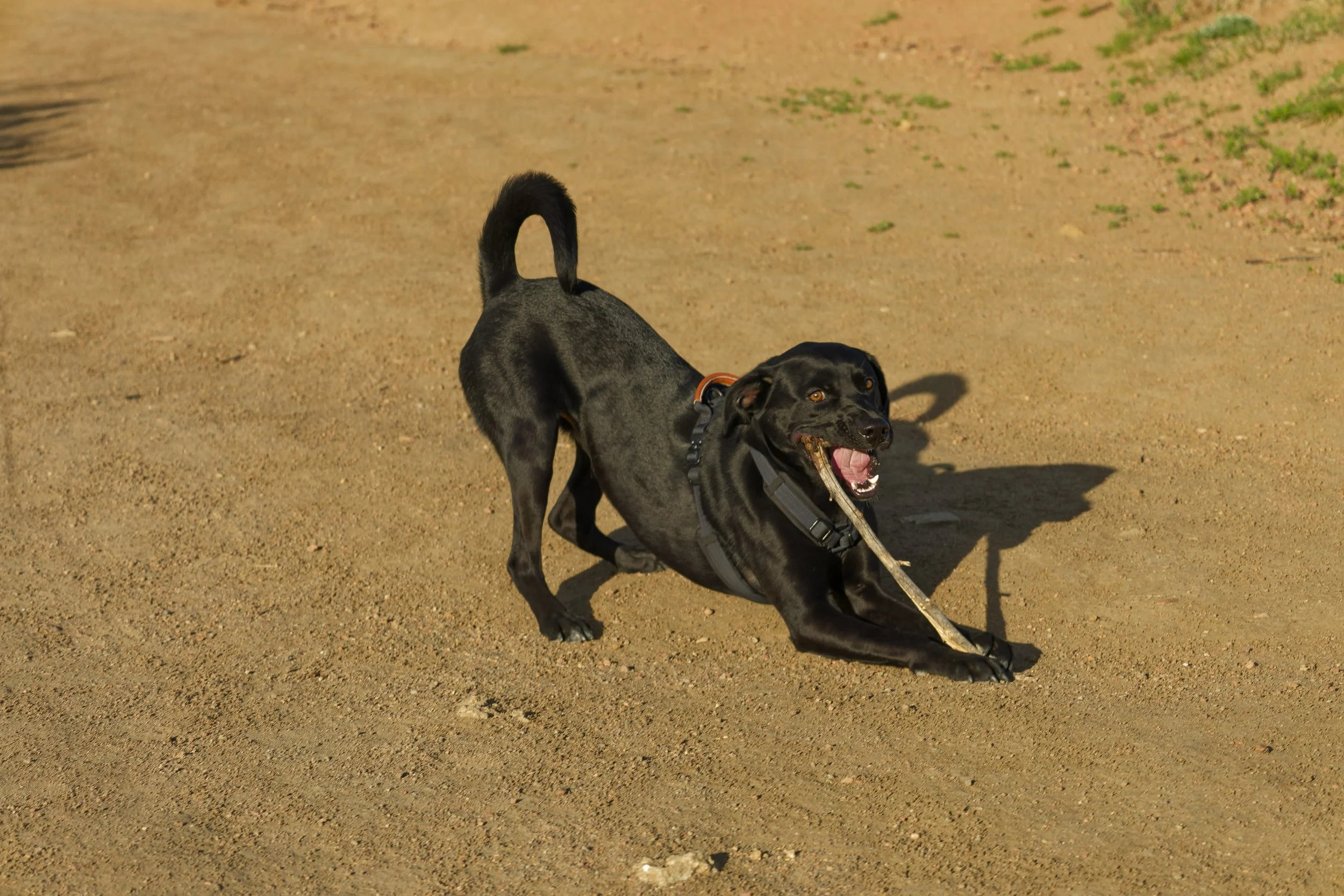 IMG_1357_DxO.jpg