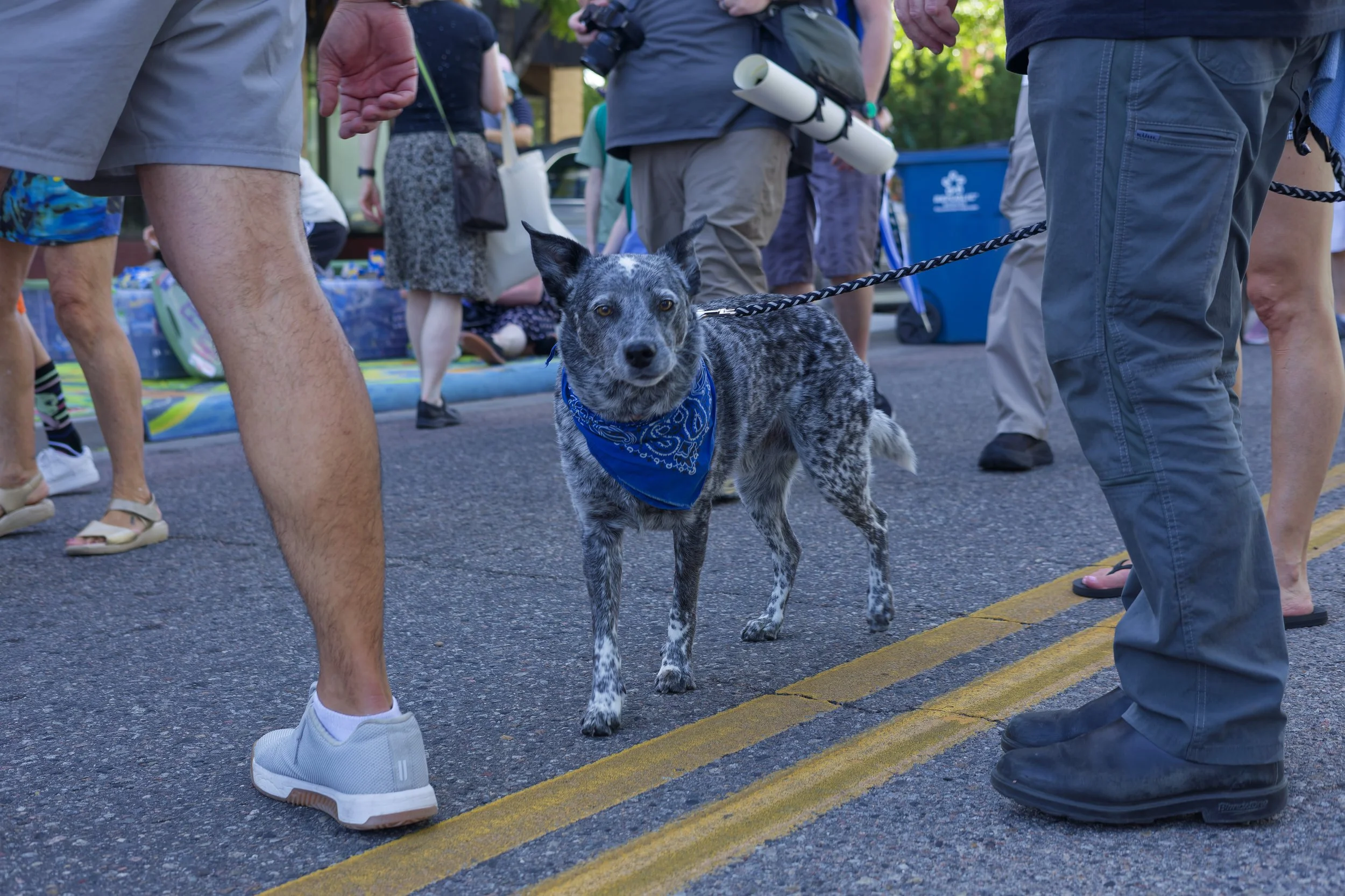 IMG_3324_DxO.jpg
