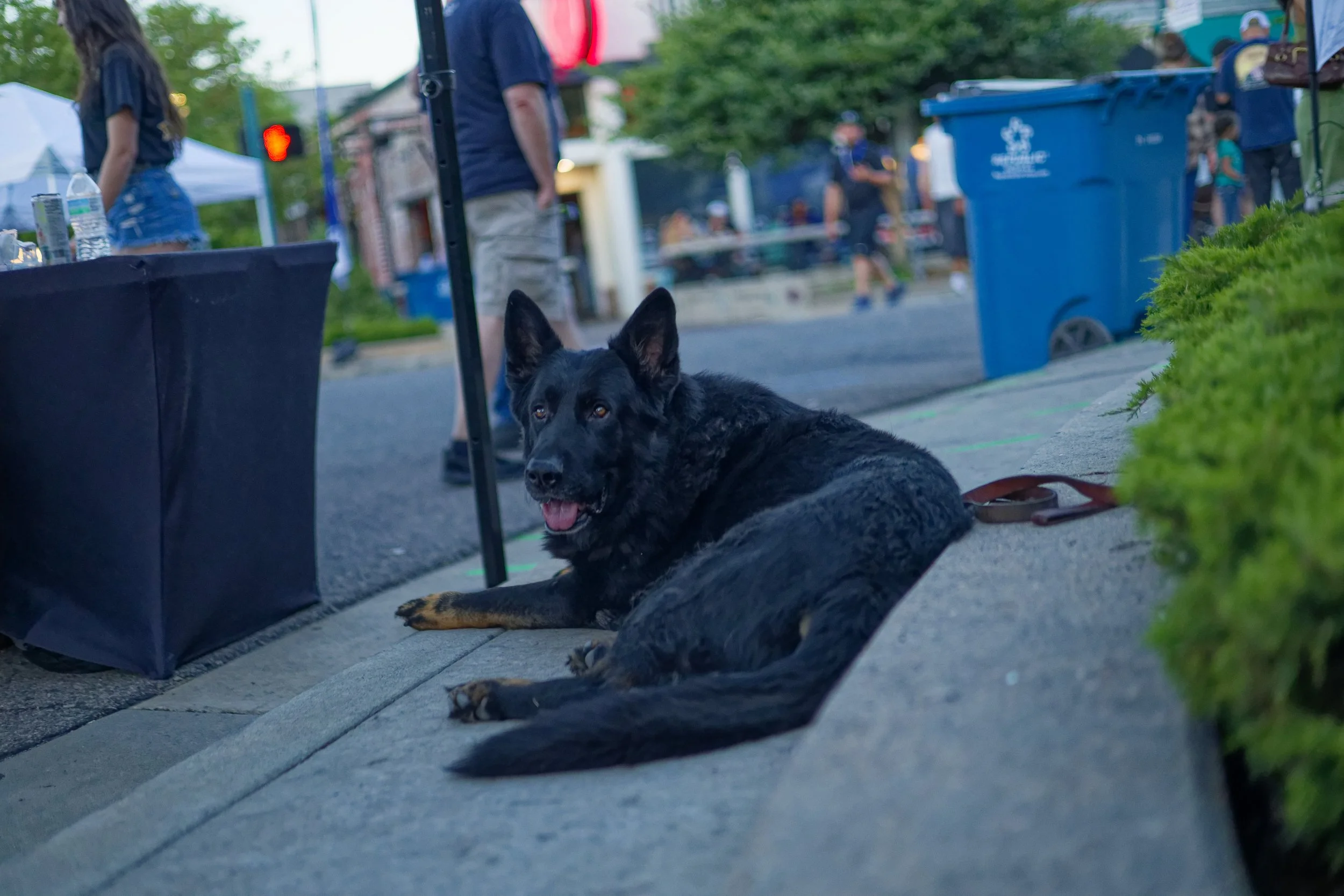 IMG_3562_DxO.jpg