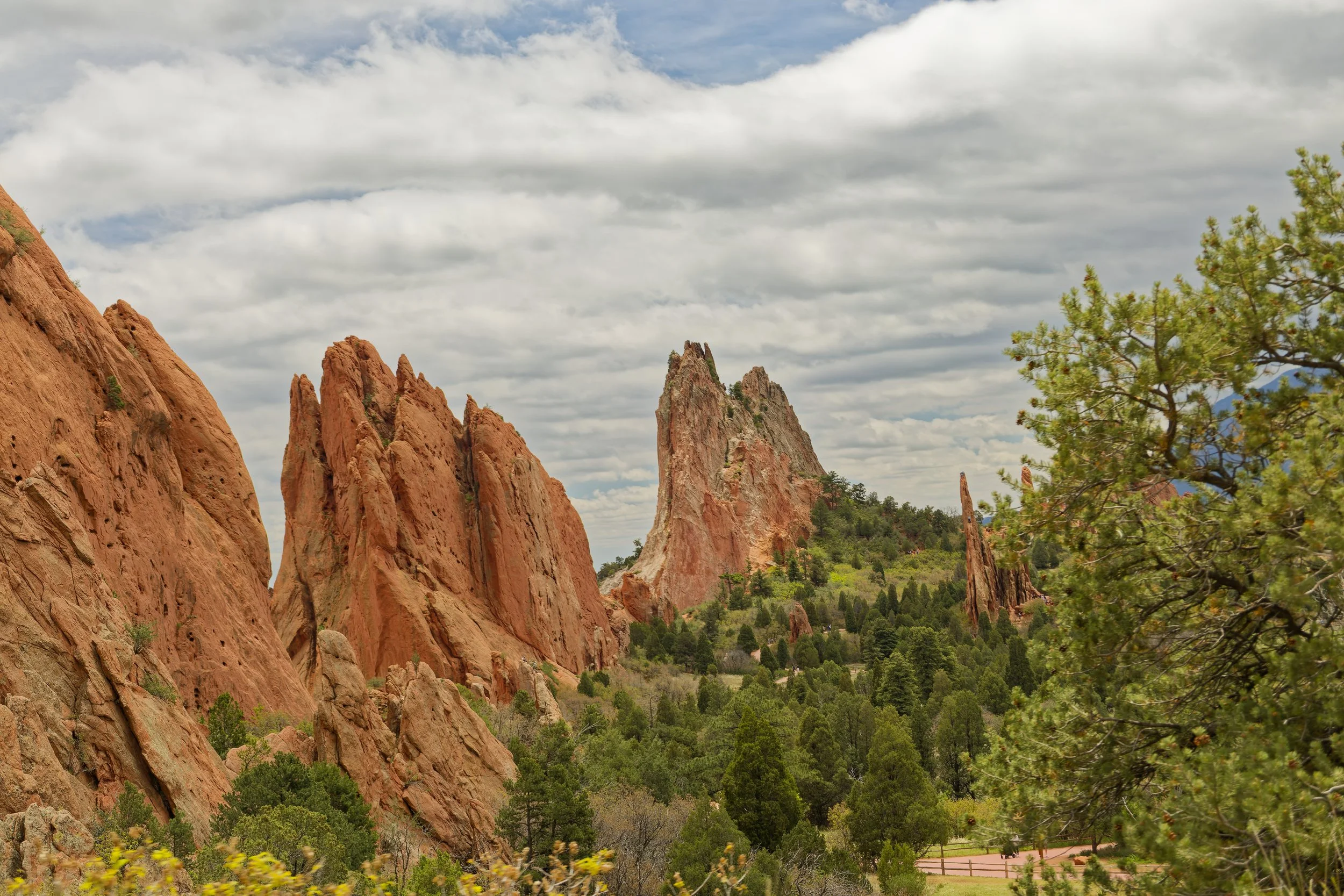 IMG_0974_DxO.jpg