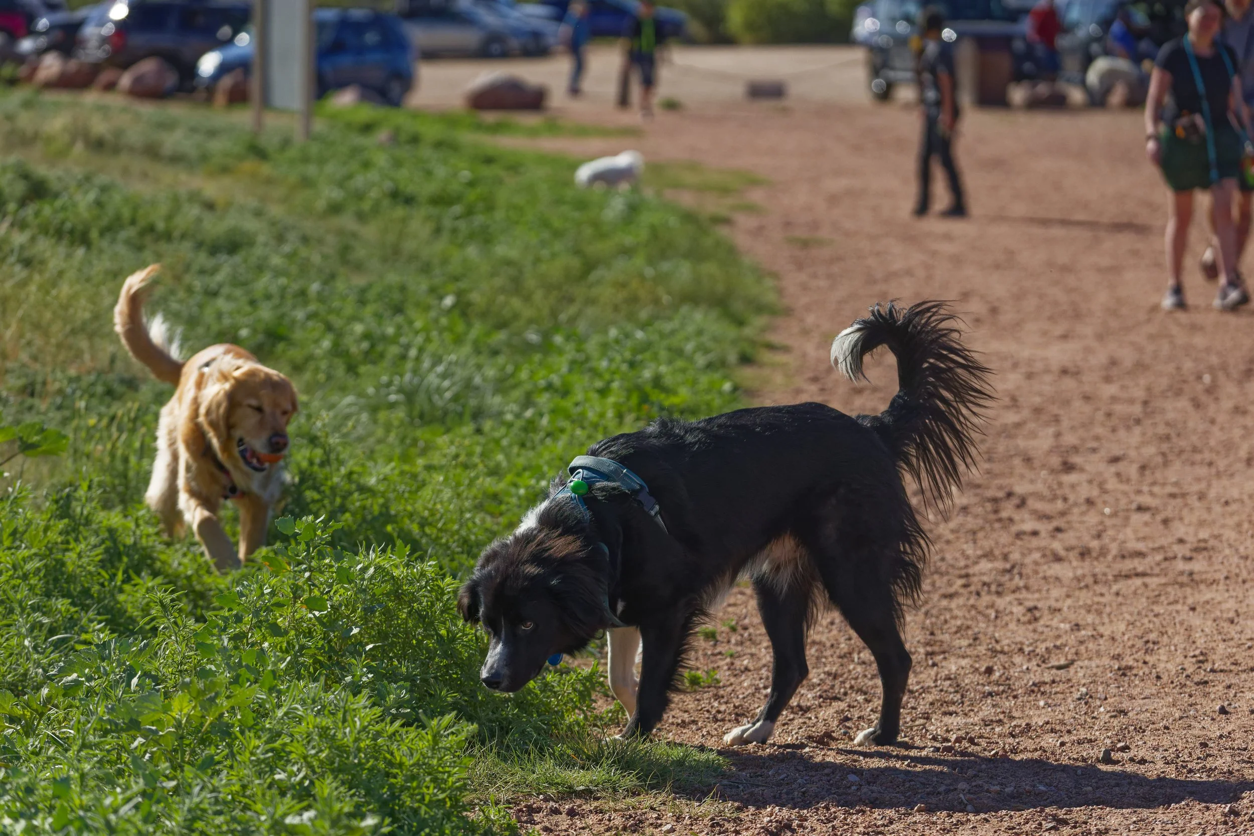 IMG_1688_DxO.jpg
