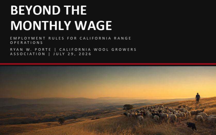 Beyond the Monthly Wage - Atty. Ryan W. Porte of Porte Law, California