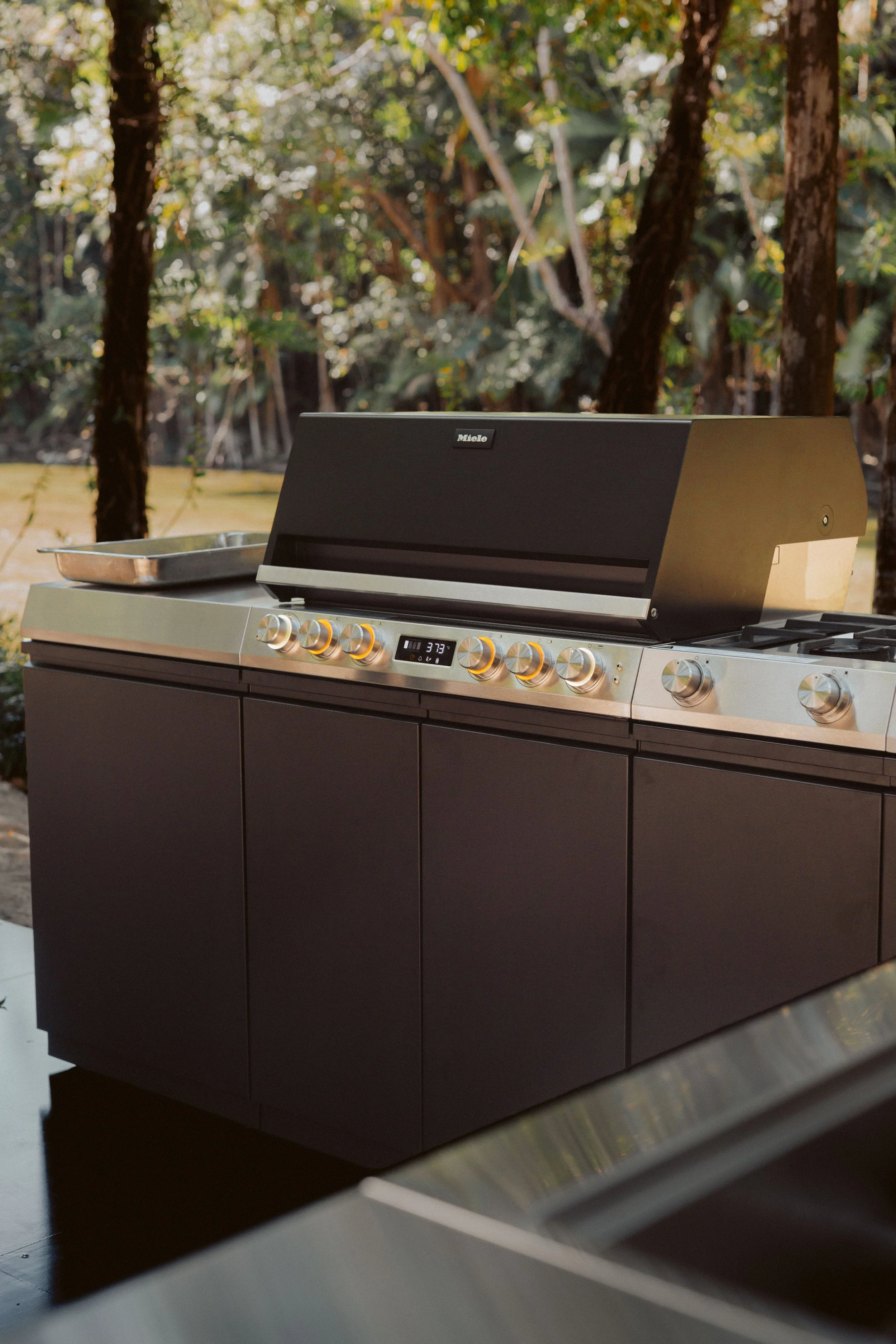 Miele-1111 (1).jpg