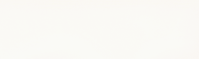 Empty white background with no objects or details.