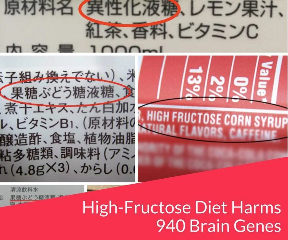 太るだけでは済まされない！？記憶・代謝機能関連遺伝子損傷まで引き起こす、異性化糖とは？