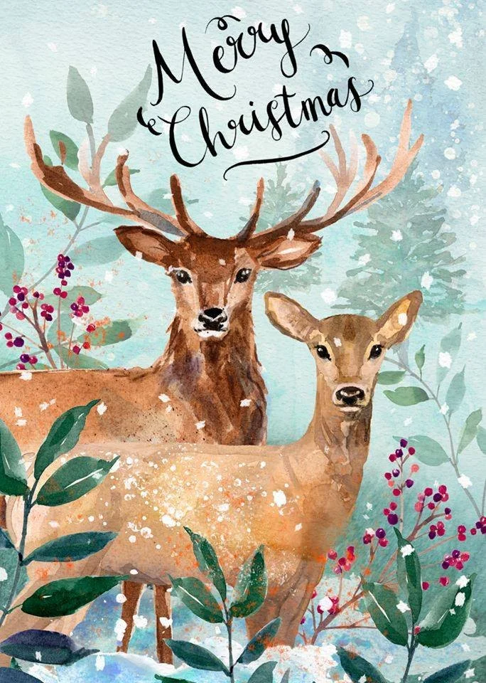 Wishing you all the most magical Christmas.