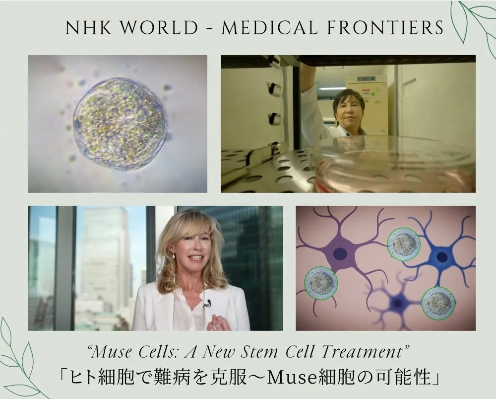 11/25 NHK Medical Frontiers 放送
