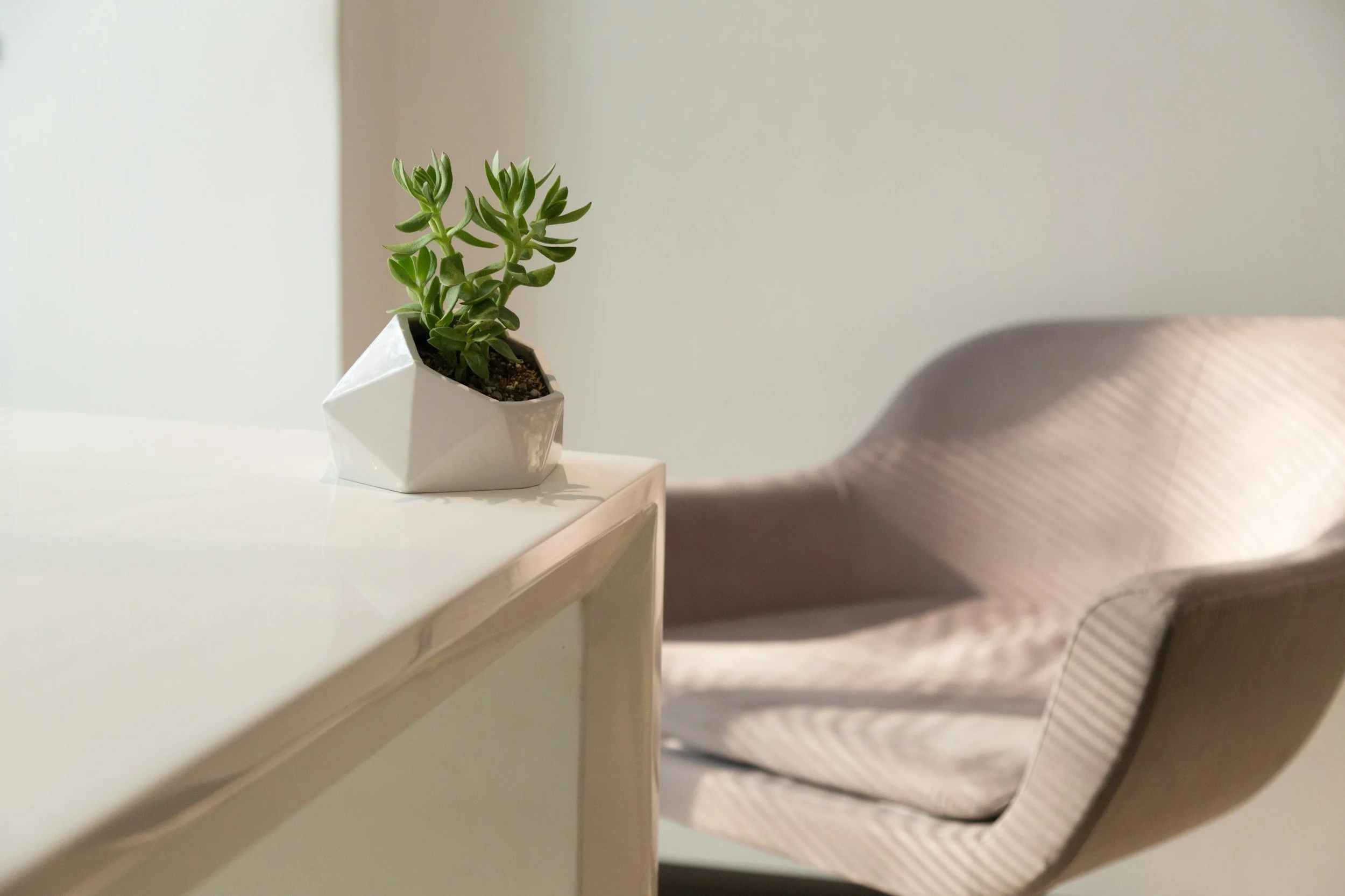A small green succulent plant in a white geometric pot sitting on a white surface, with a chair in the background.
