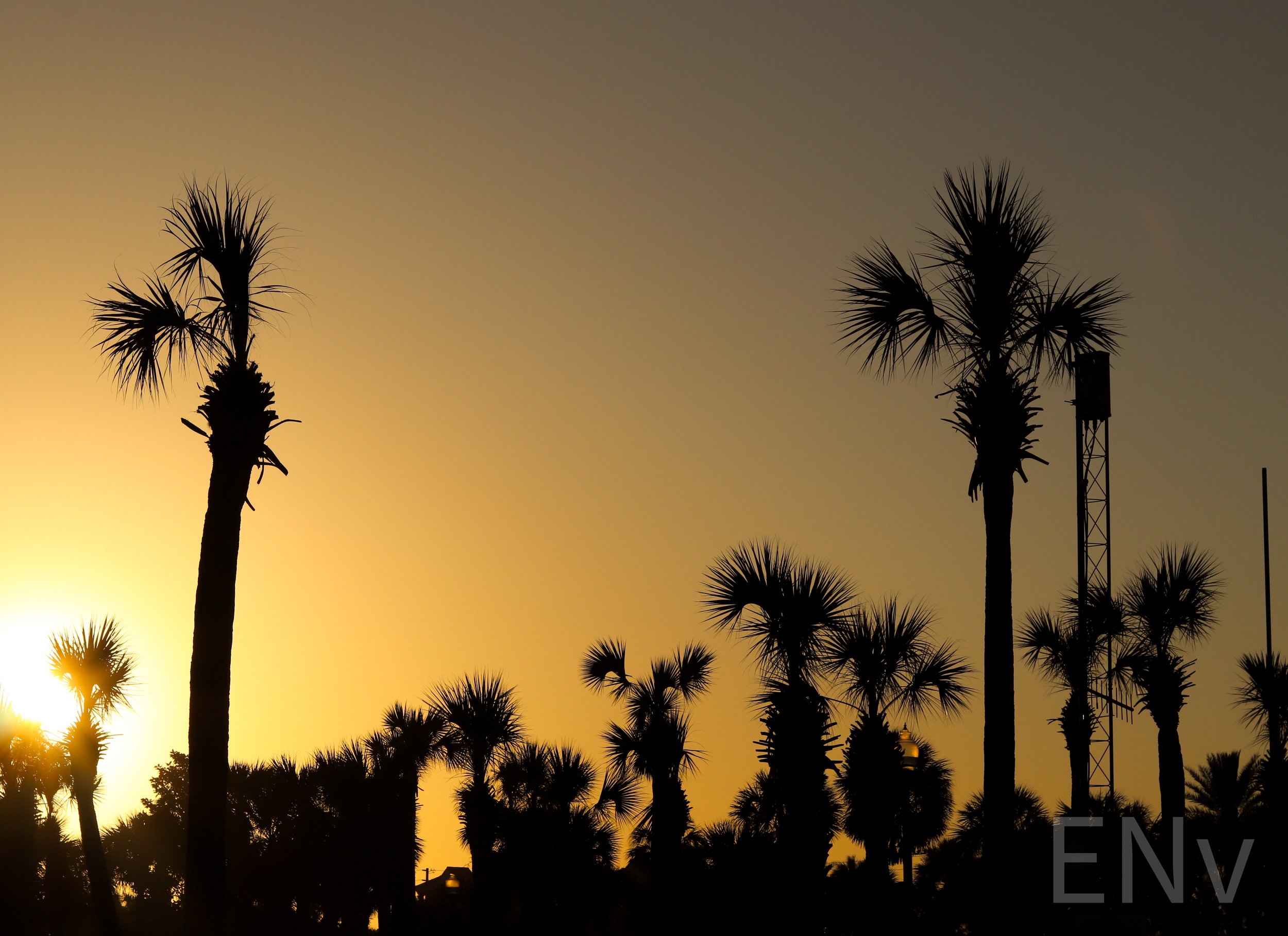 IMG_3319.JPG