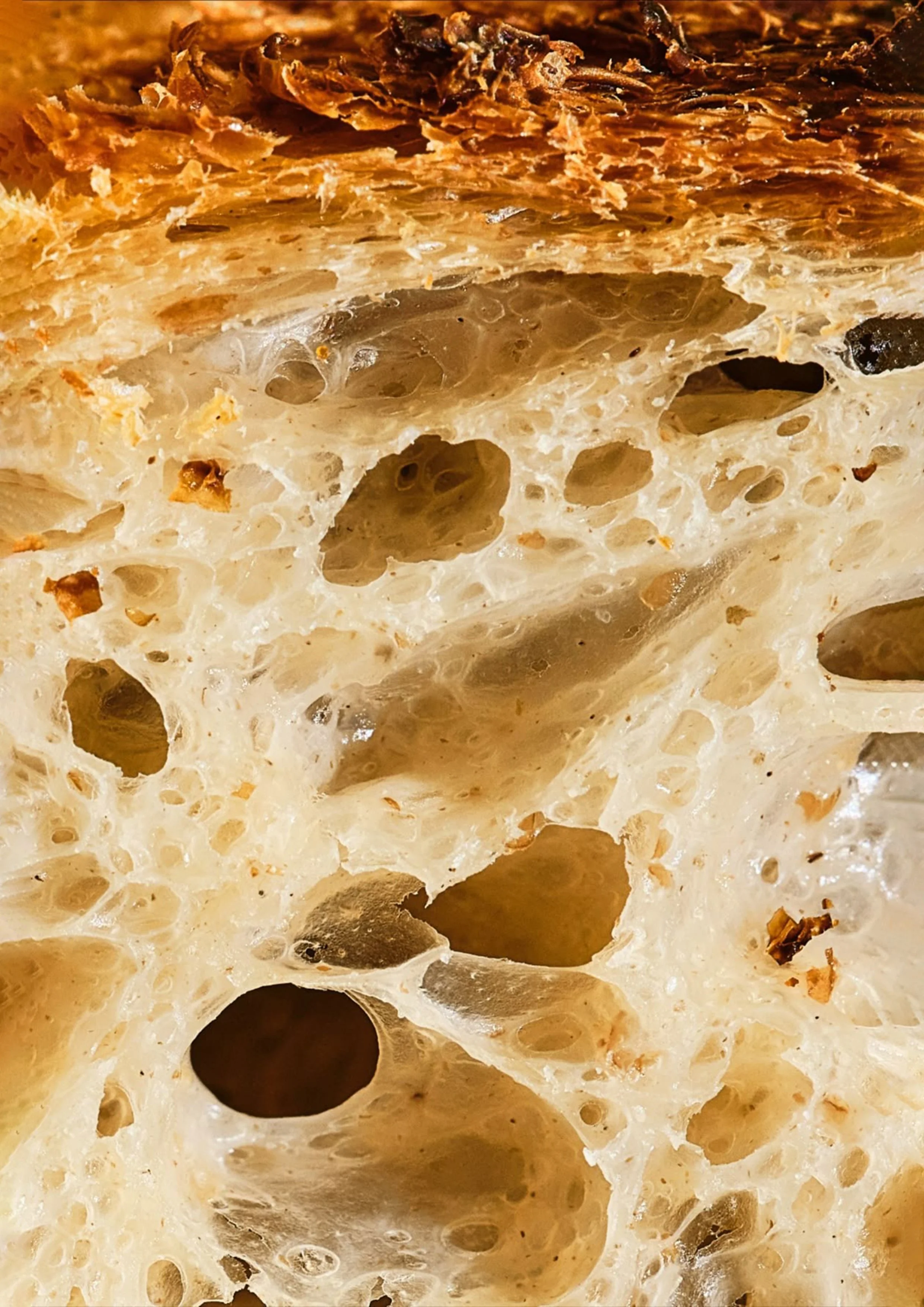 Close-up of the airy crumb and texture of freshly baked artisan bread at Benis Bake House.