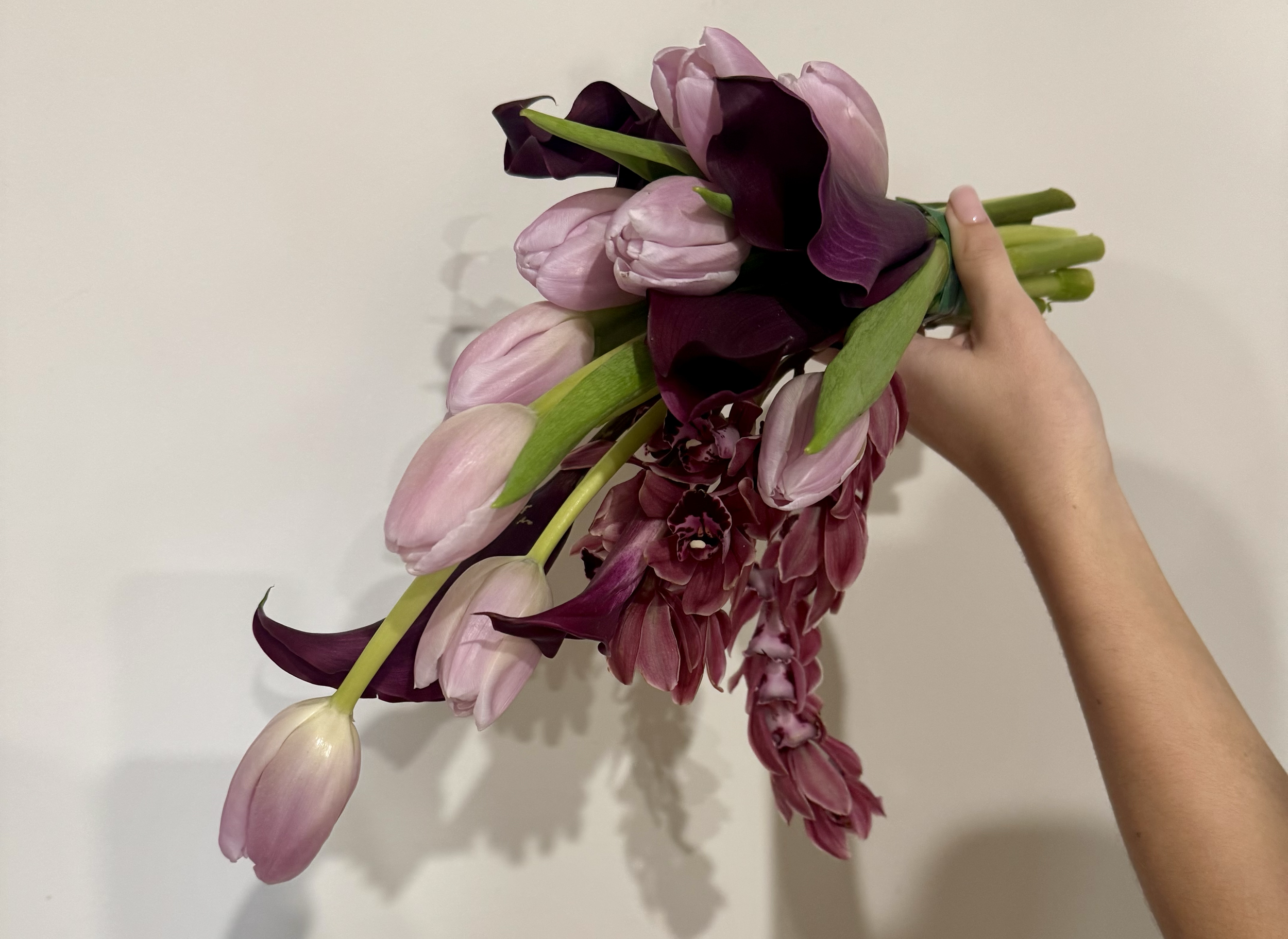 A hand holding a bouquet of pink tulips and dark purple calla lilies against a plain white background.