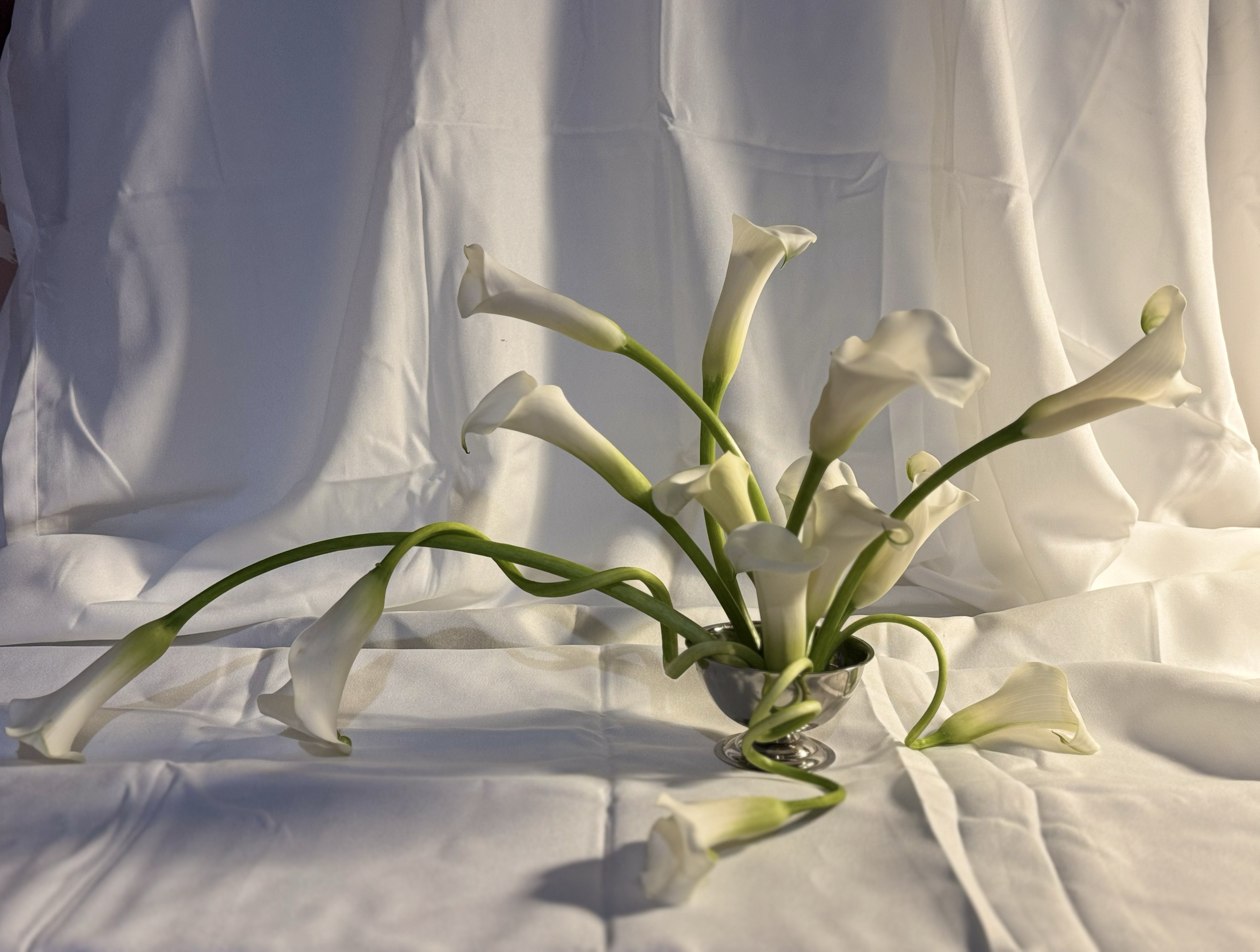 A bouquet of white calla lilies in a glass vase placed on a white surface with a white fabric backdrop.