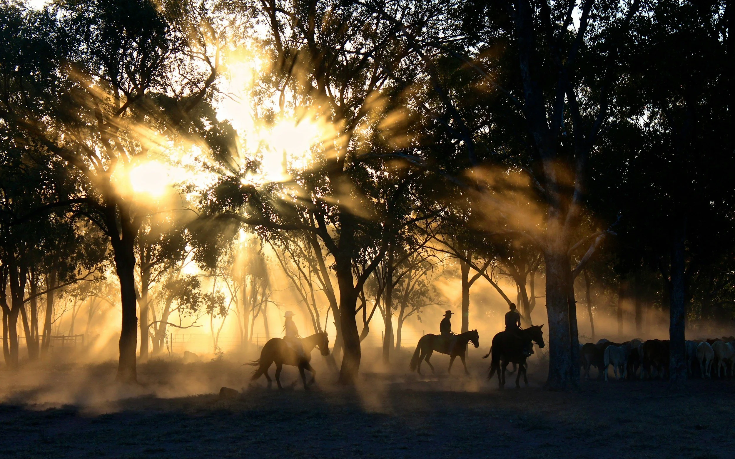 Silhouettes of people on horseback under trees during sunrise with sun rays filtering through the branches.