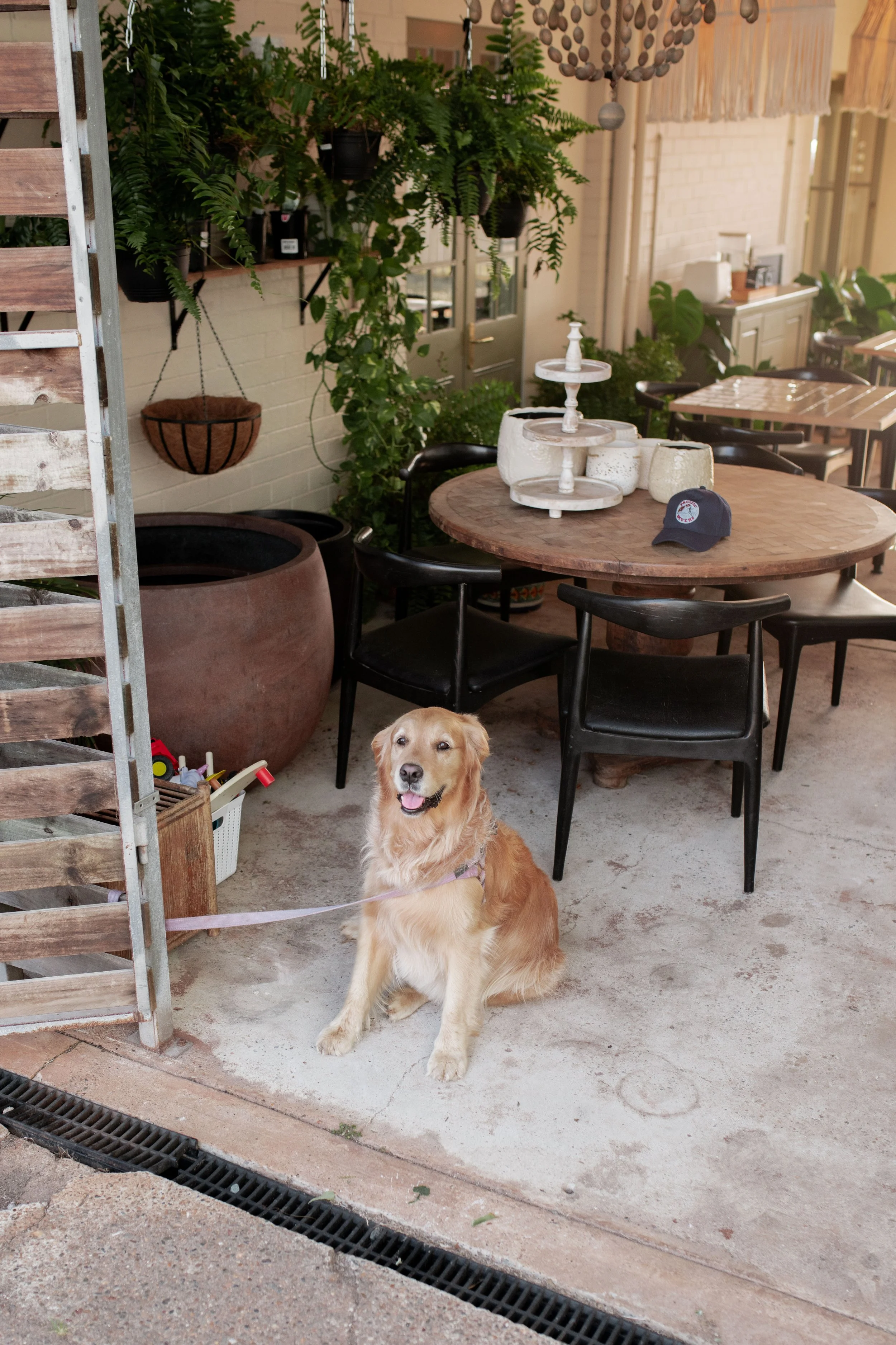 VERANDAH-octobercollection_54.jpg