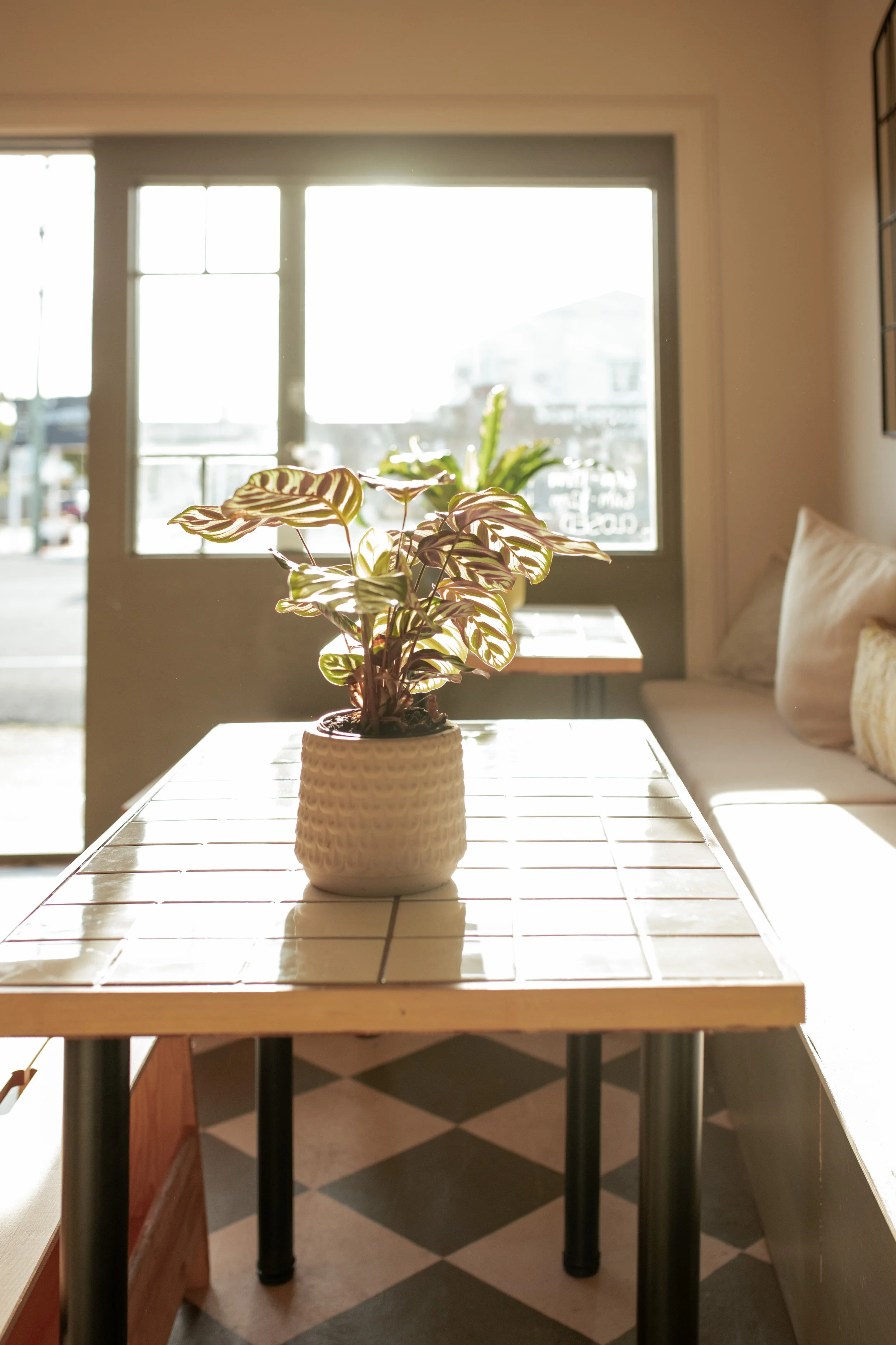 VERANDAH-octobercollection_35.jpg