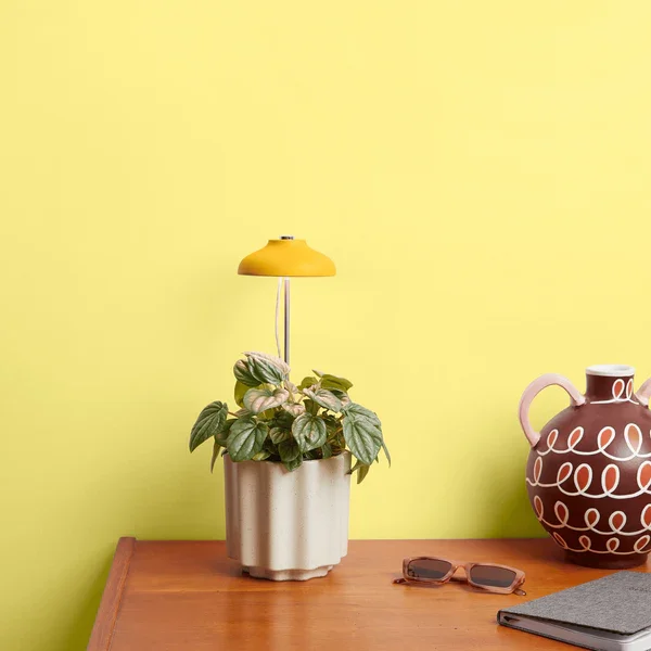 sun_lamp_image.webp