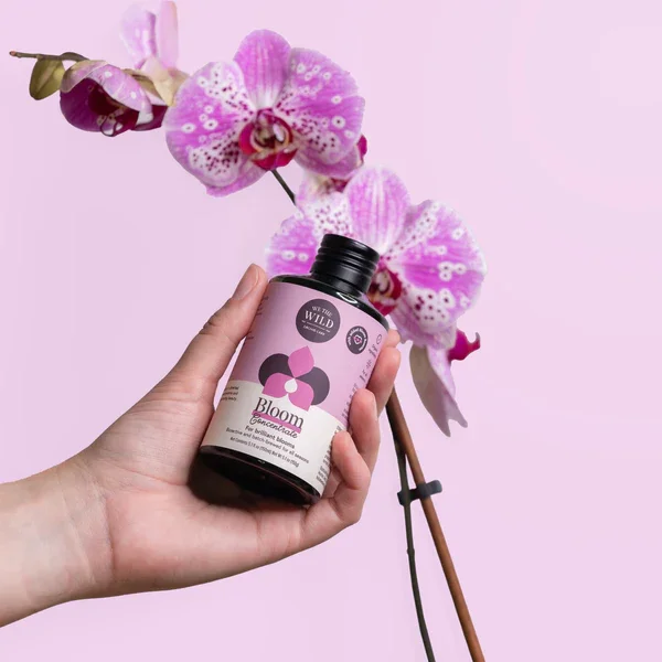 Bloom Flowering Plant Food