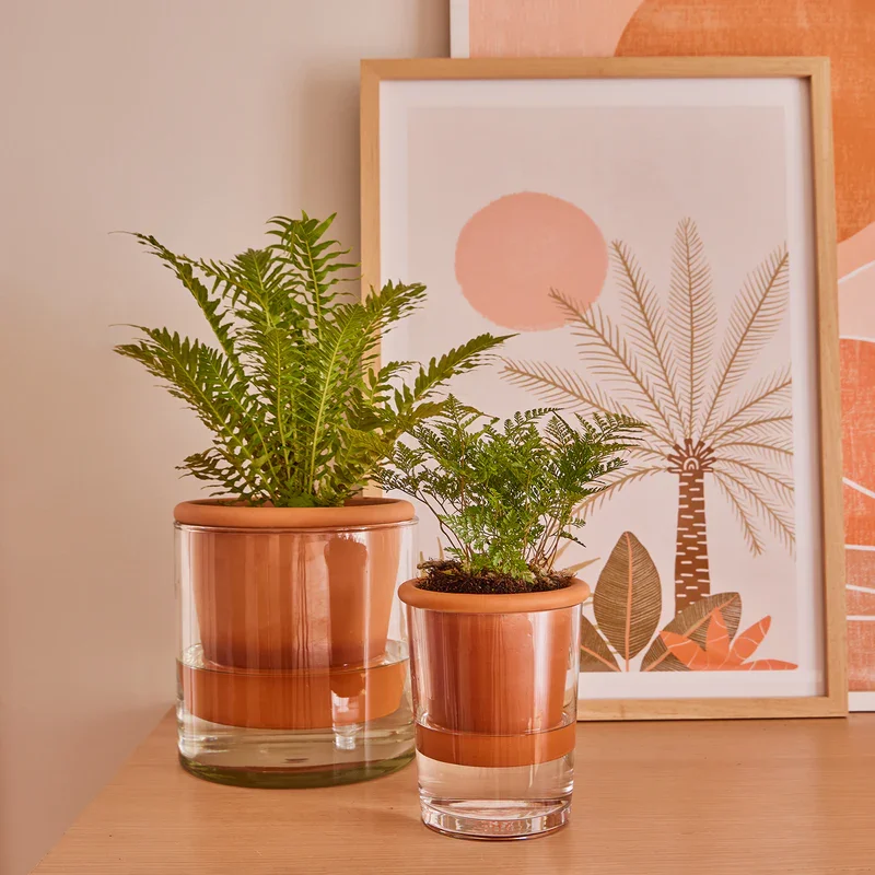 Indoor Pots